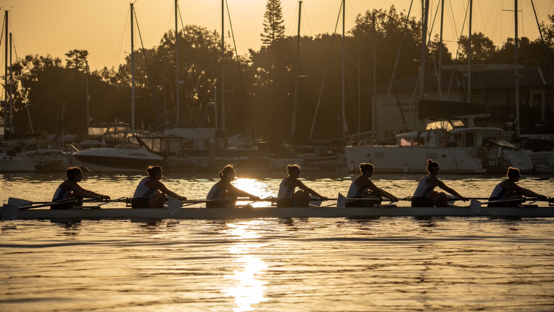 Women's Rowing vs. UCLA