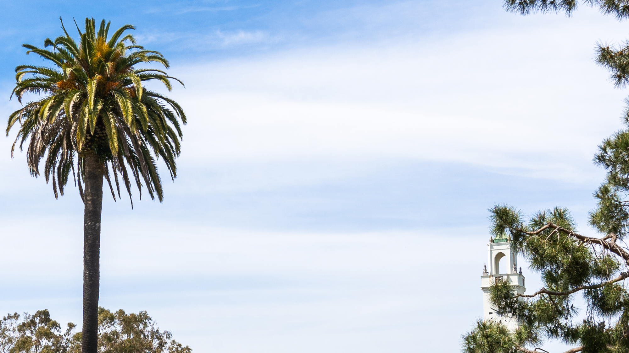 LMU Campus Sky