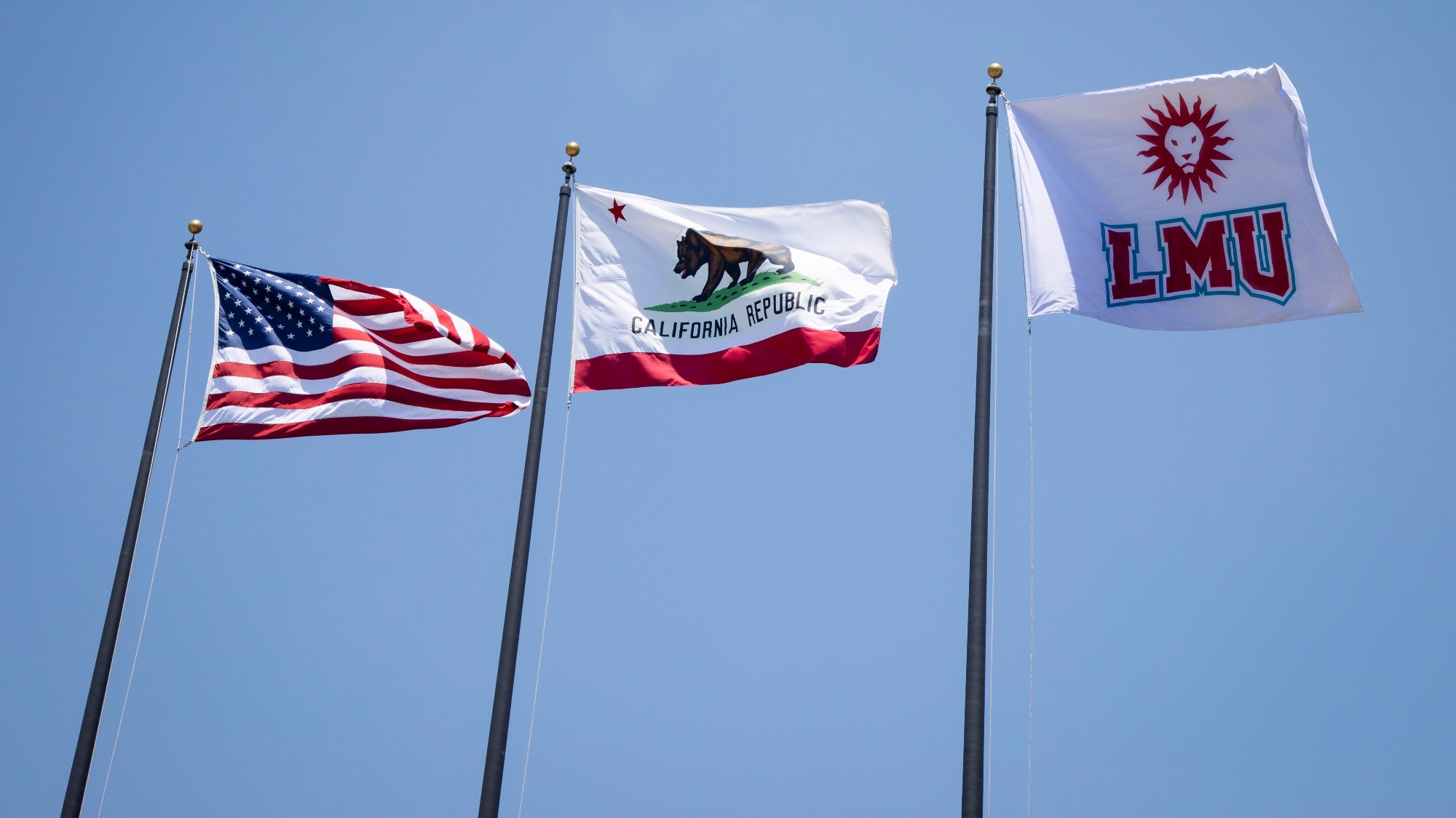 Campus LMU Flags