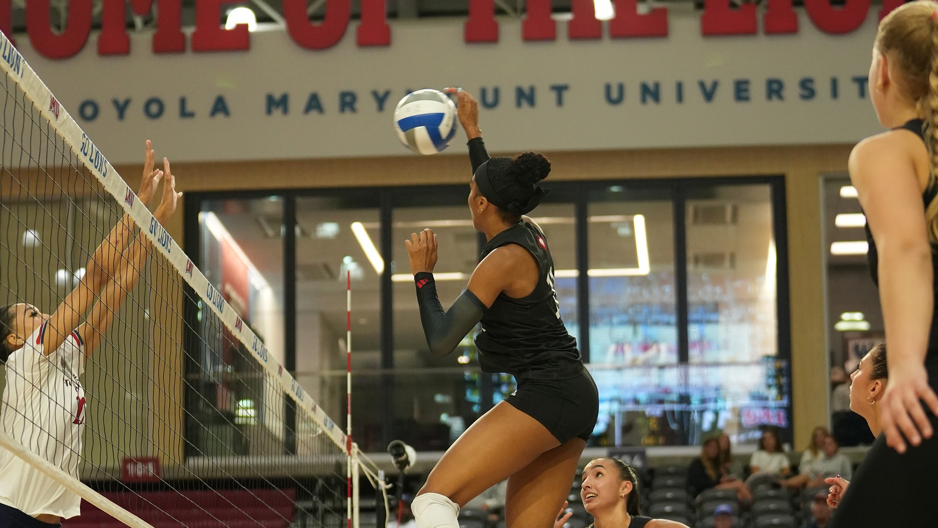 WVB