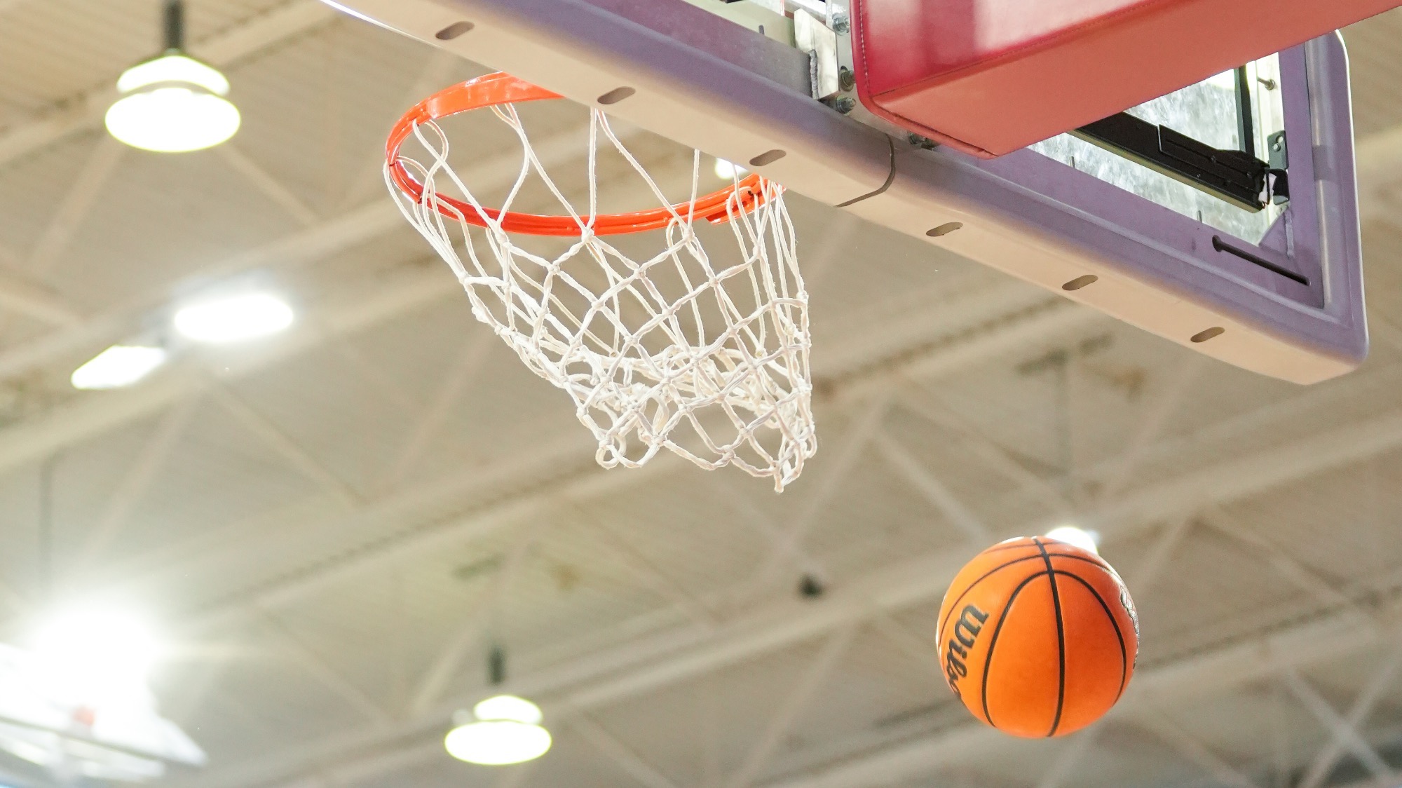 Basketball Gersten Pavilion Net