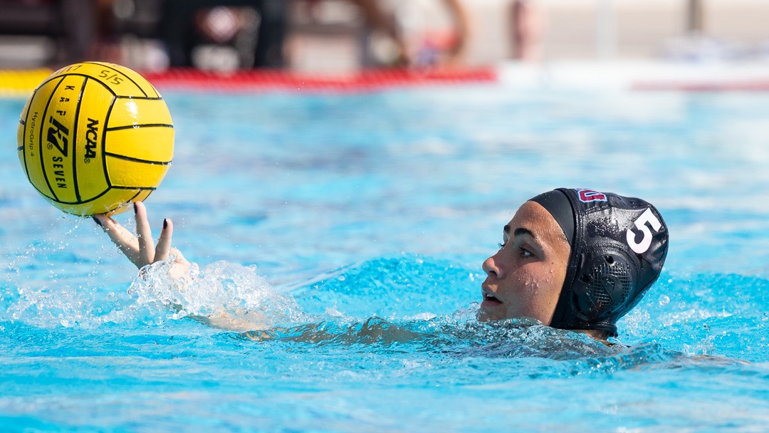 Cila David vs. Chapman