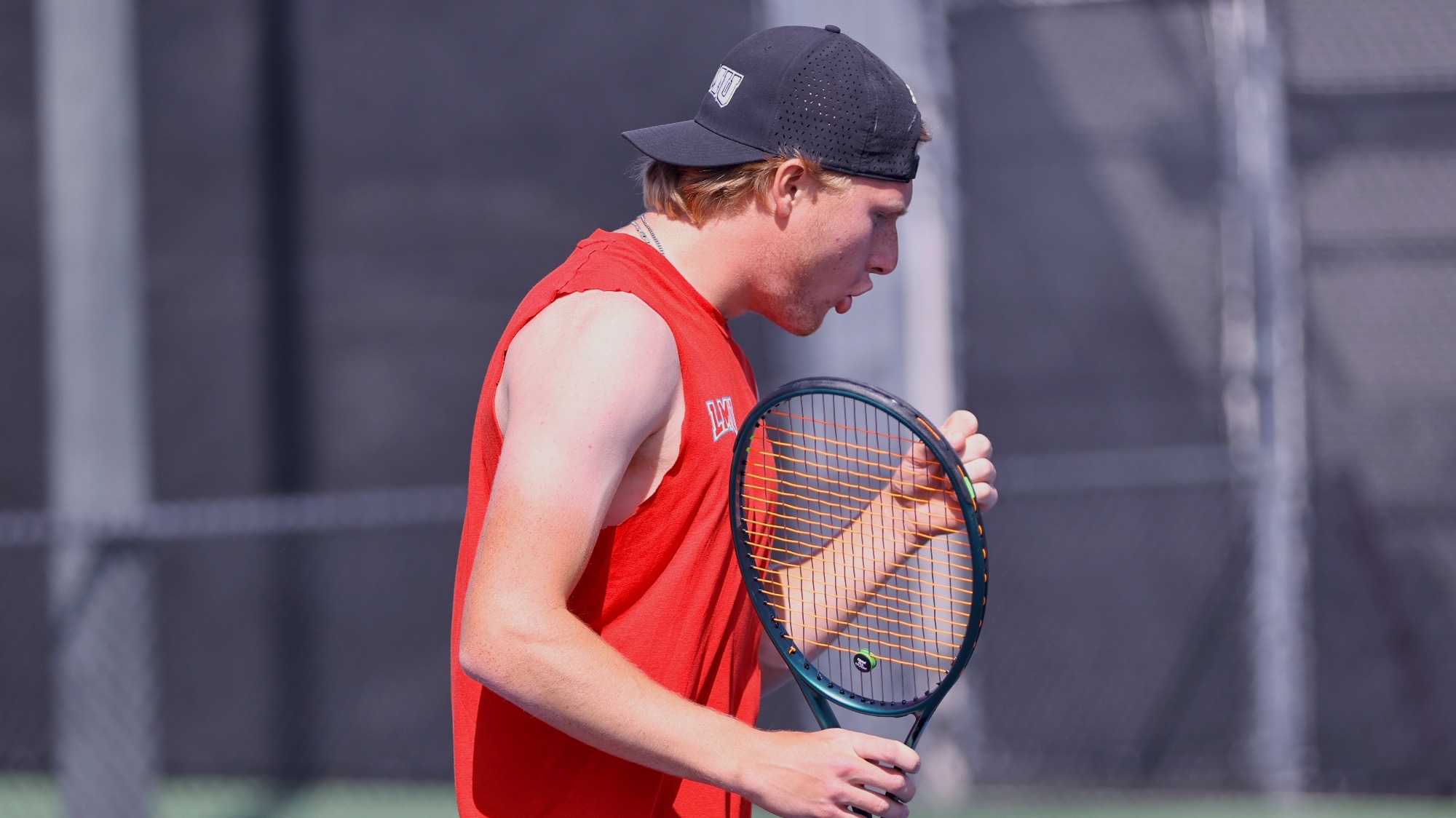 Kindhult Celebration