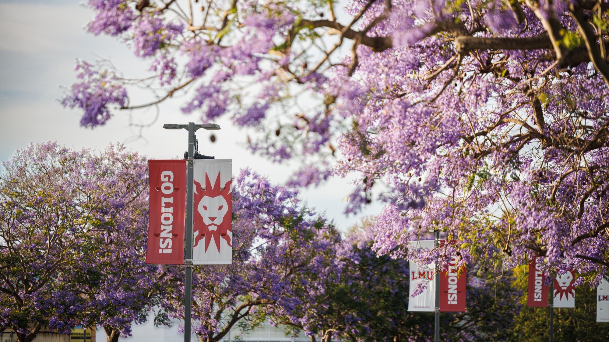 Campus Beauty Entry Flowers LMU