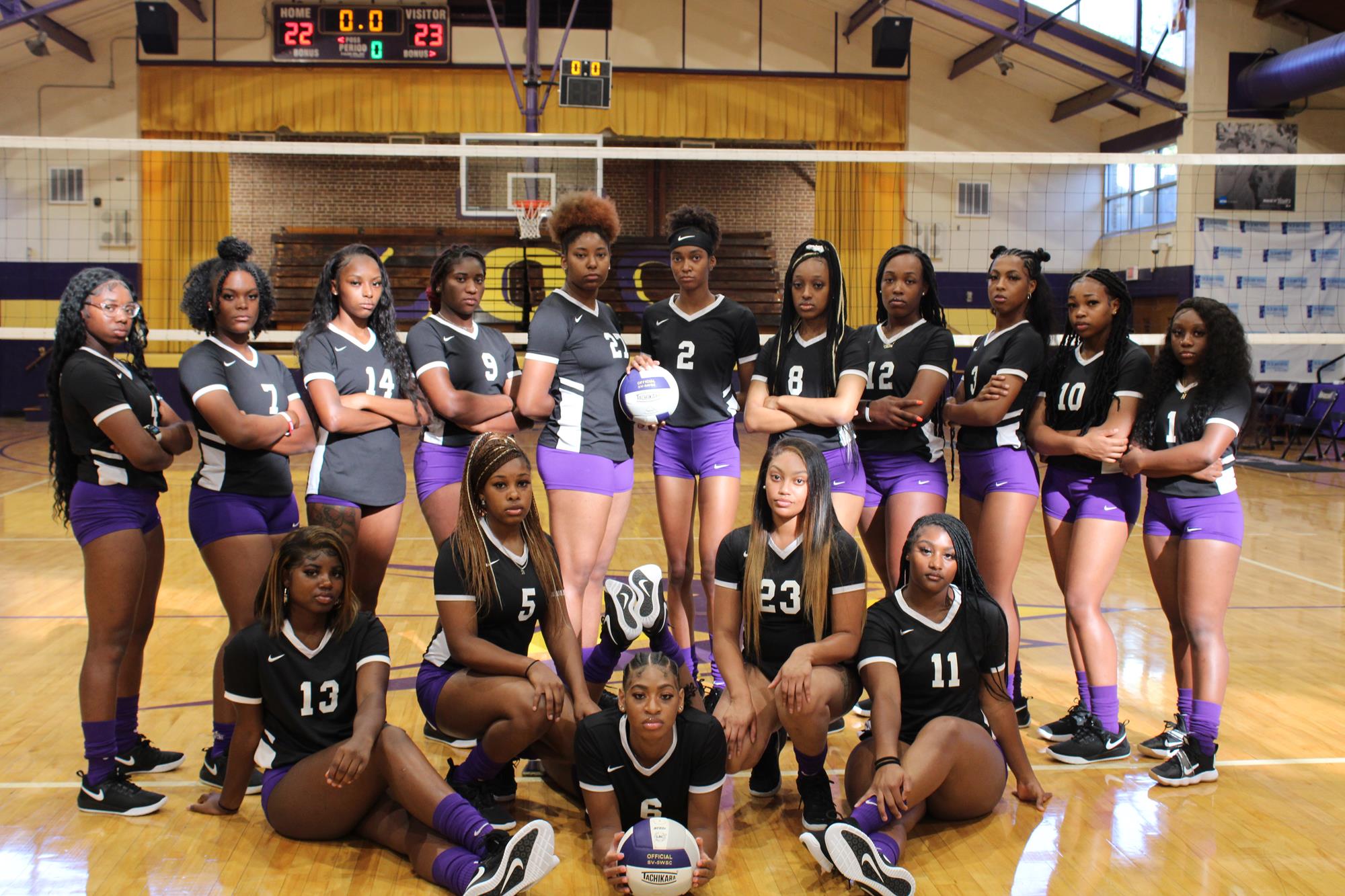 volleyball team
