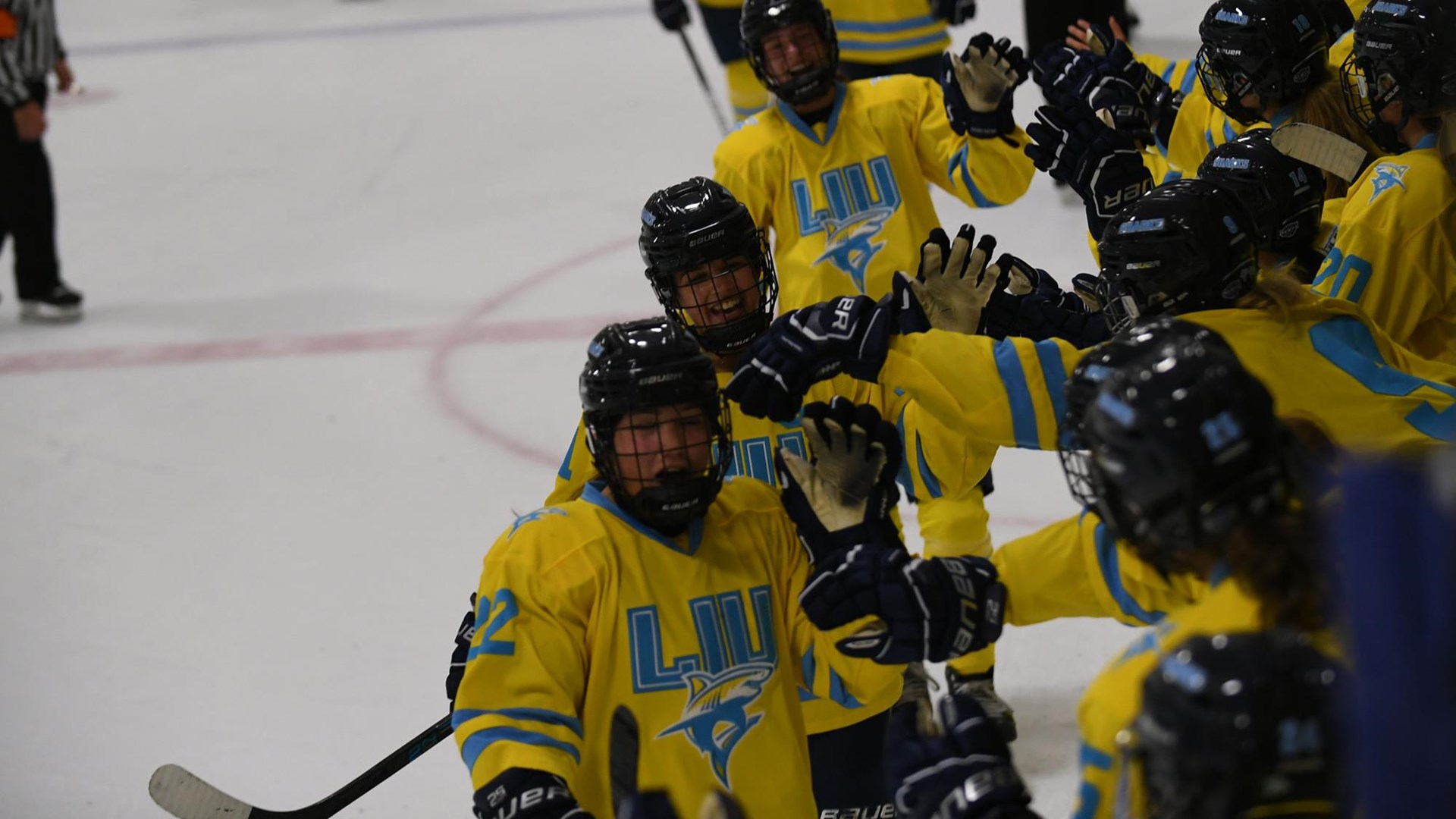 Long Island University