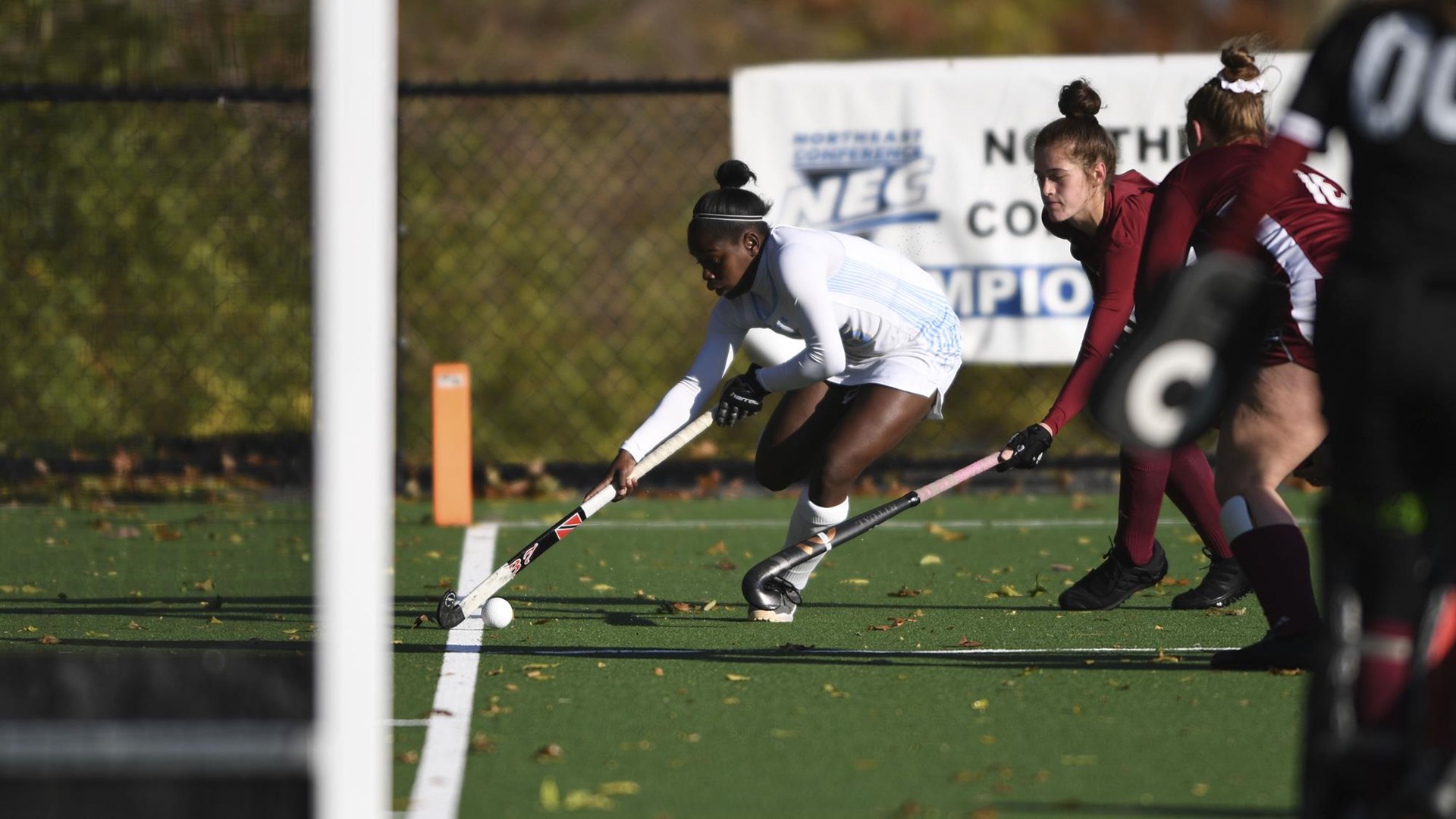 Long Island University Athletics