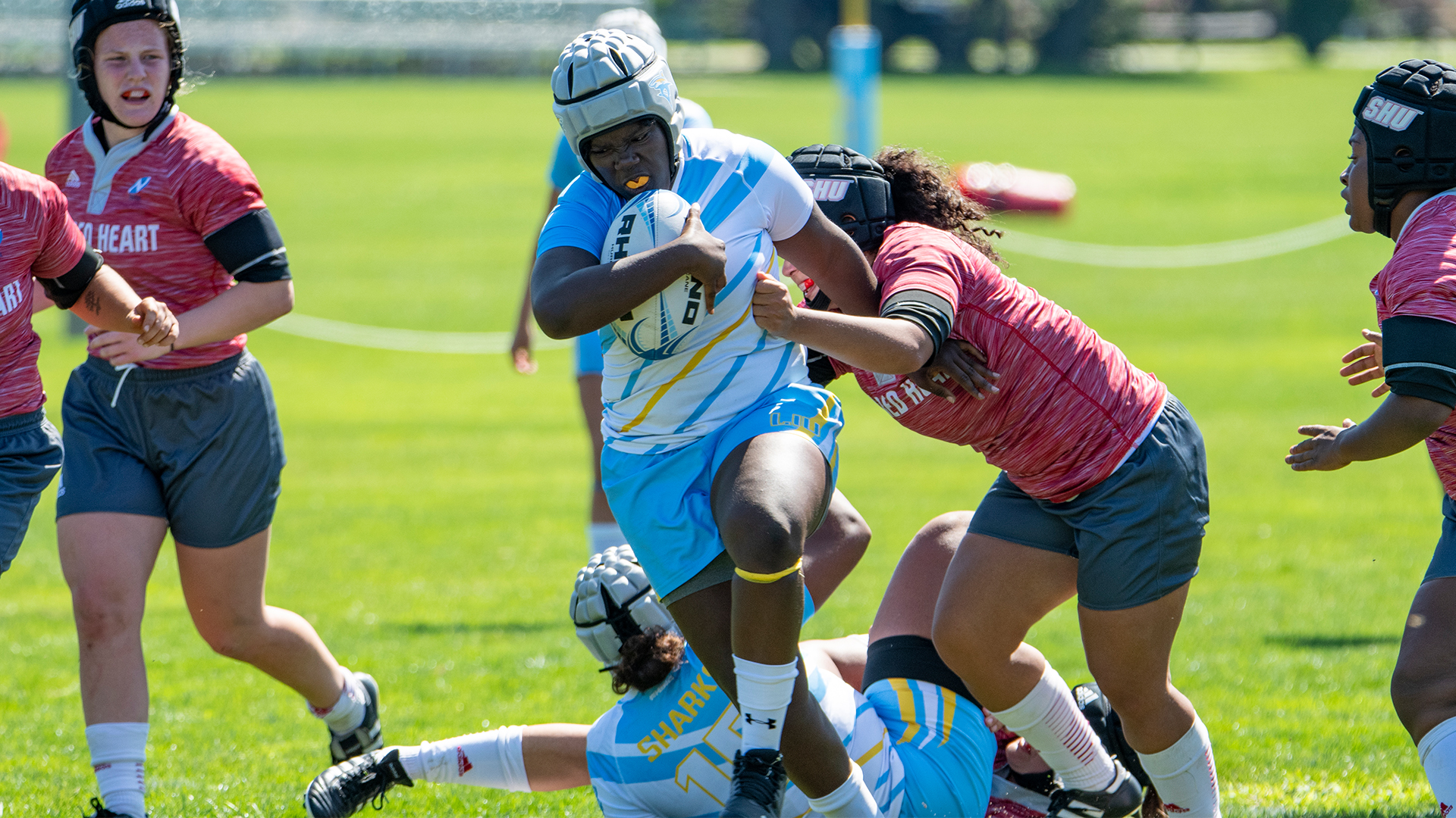 Long Island University Athletics