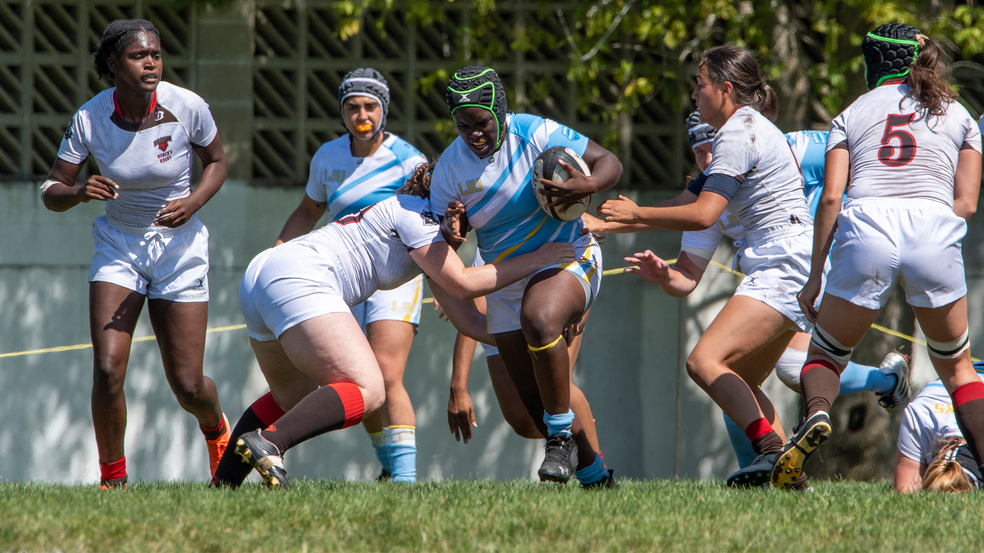 Long Island University Athletics