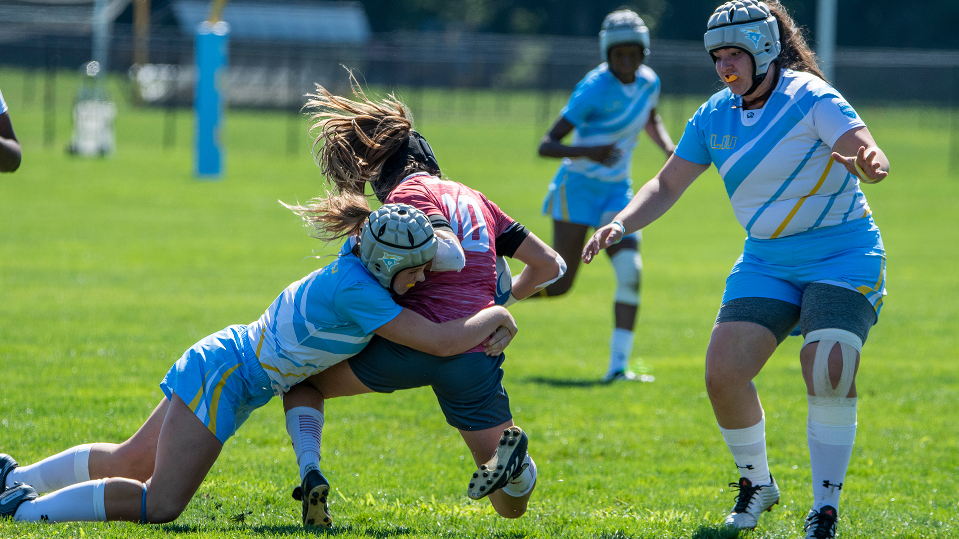 Long Island University Athletics