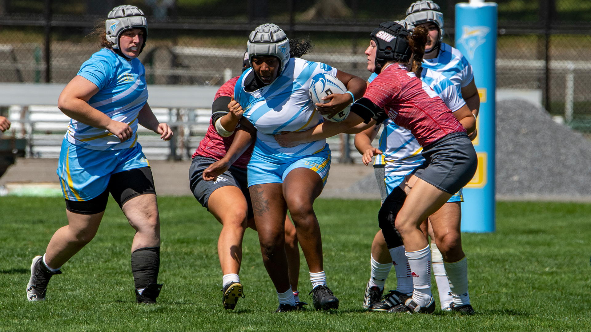 Long Island University Athletics