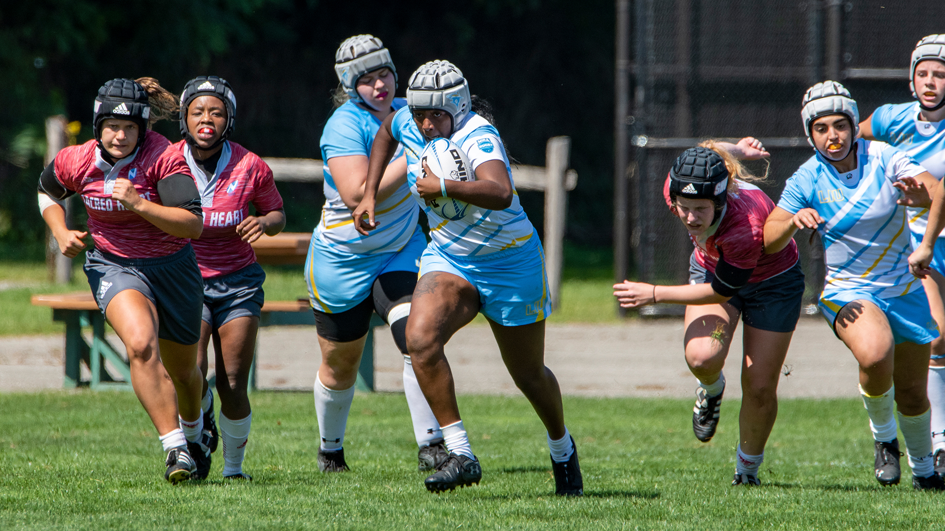 Long Island University Athletics