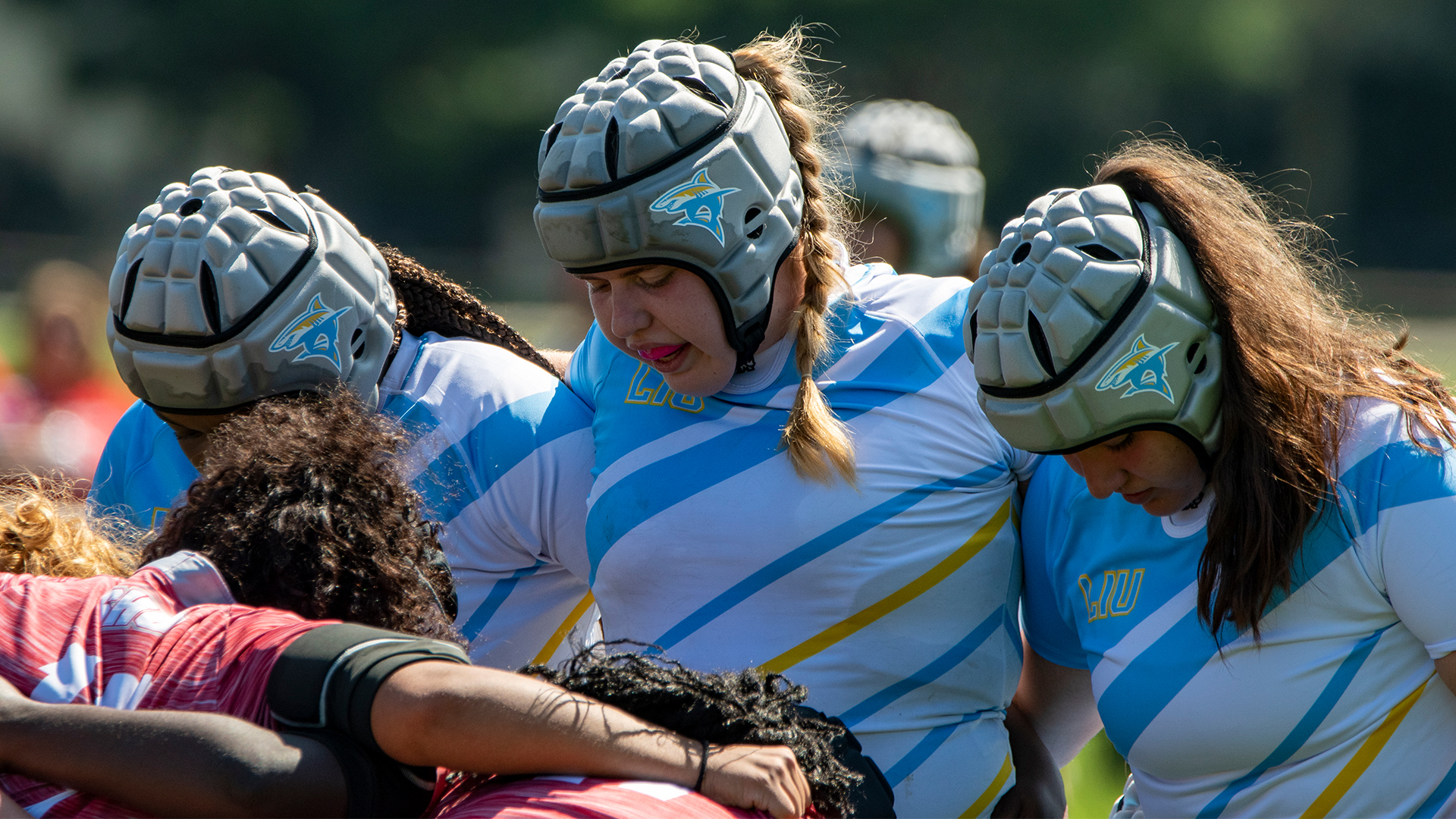 Long Island University Athletics