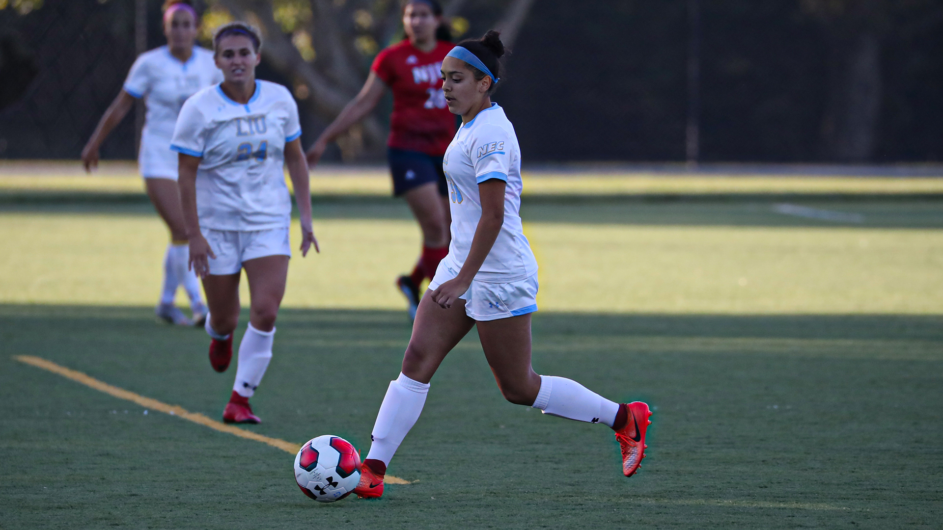 Long Island University Athletics