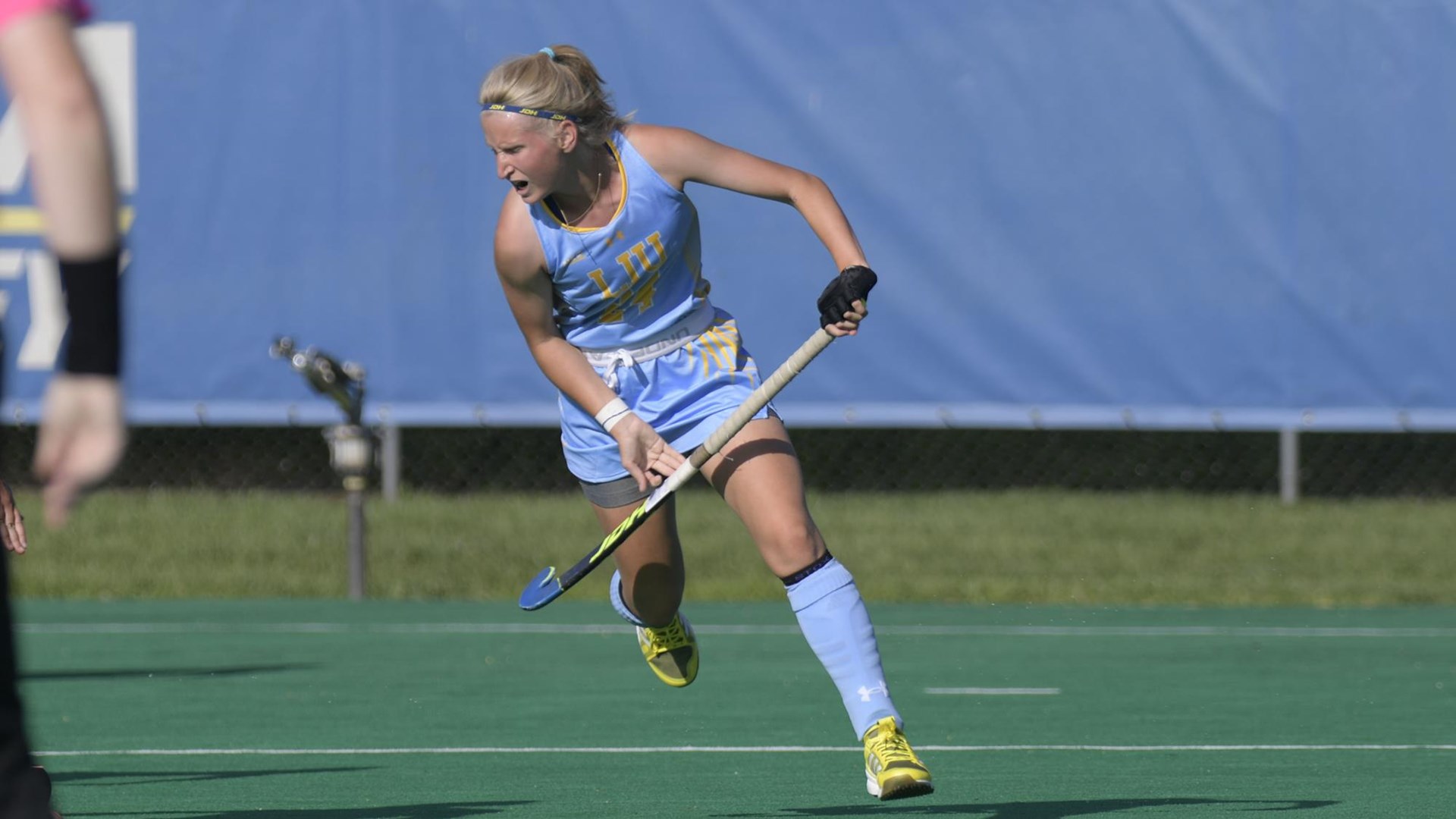 Long Island University Athletics