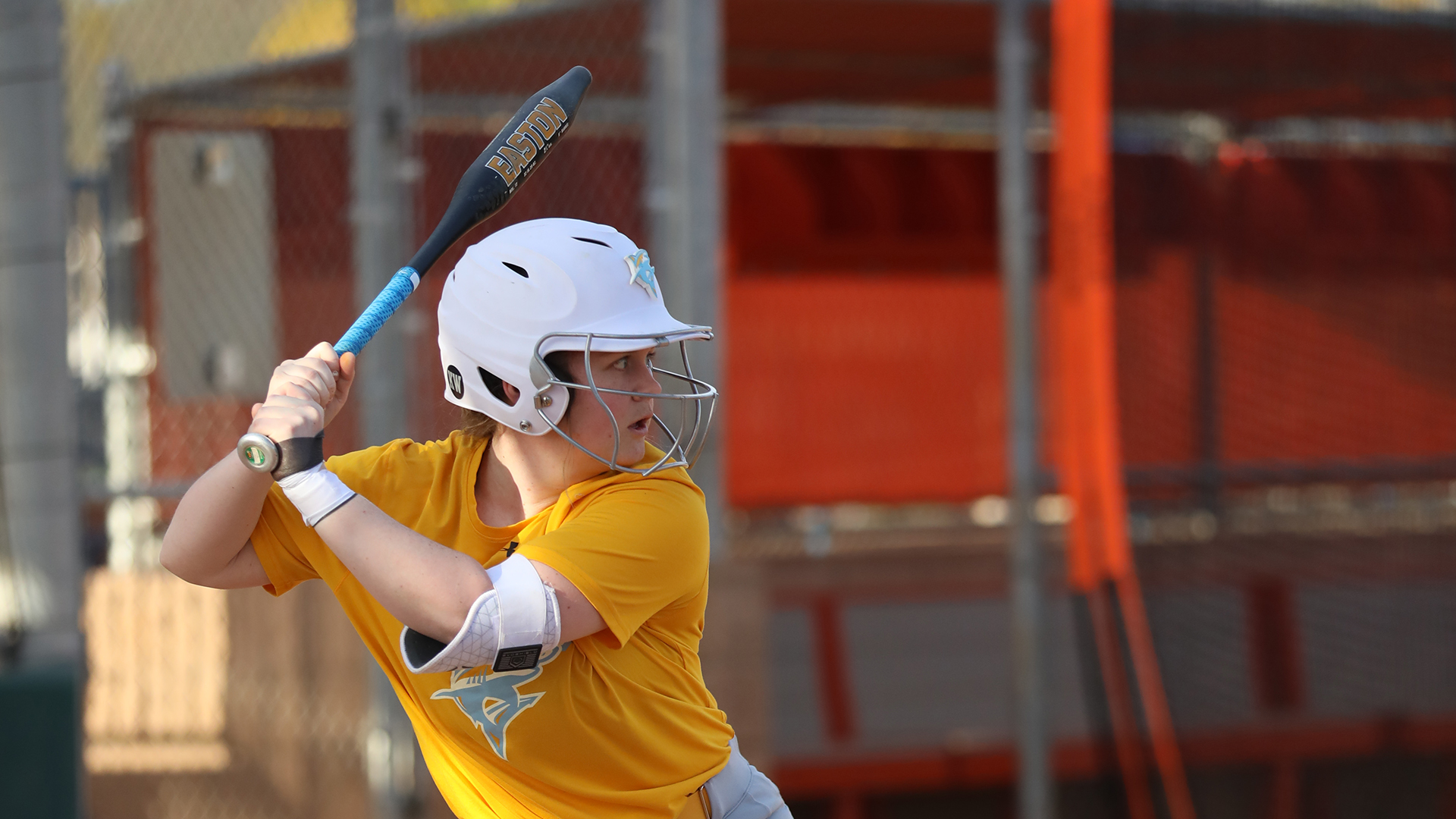 Long Island University Athletics