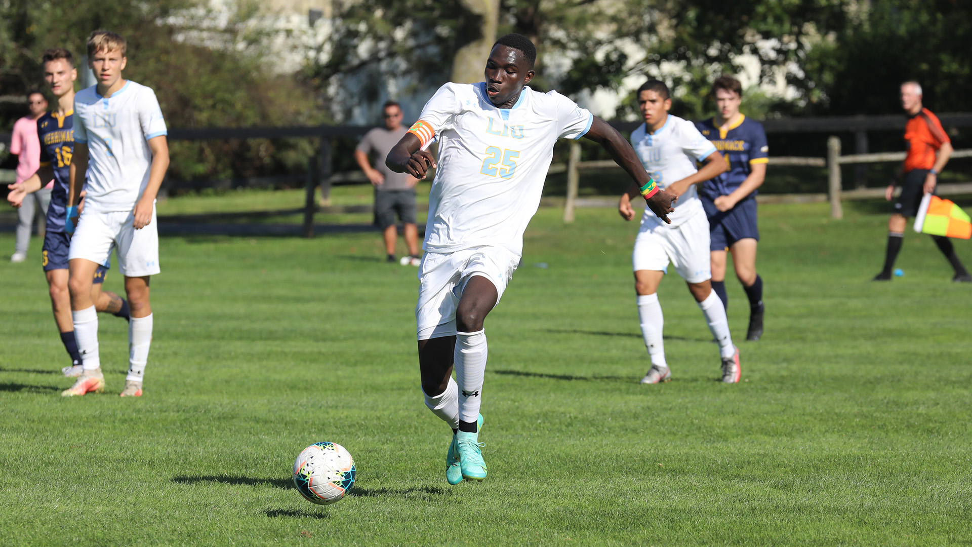 Long Island University