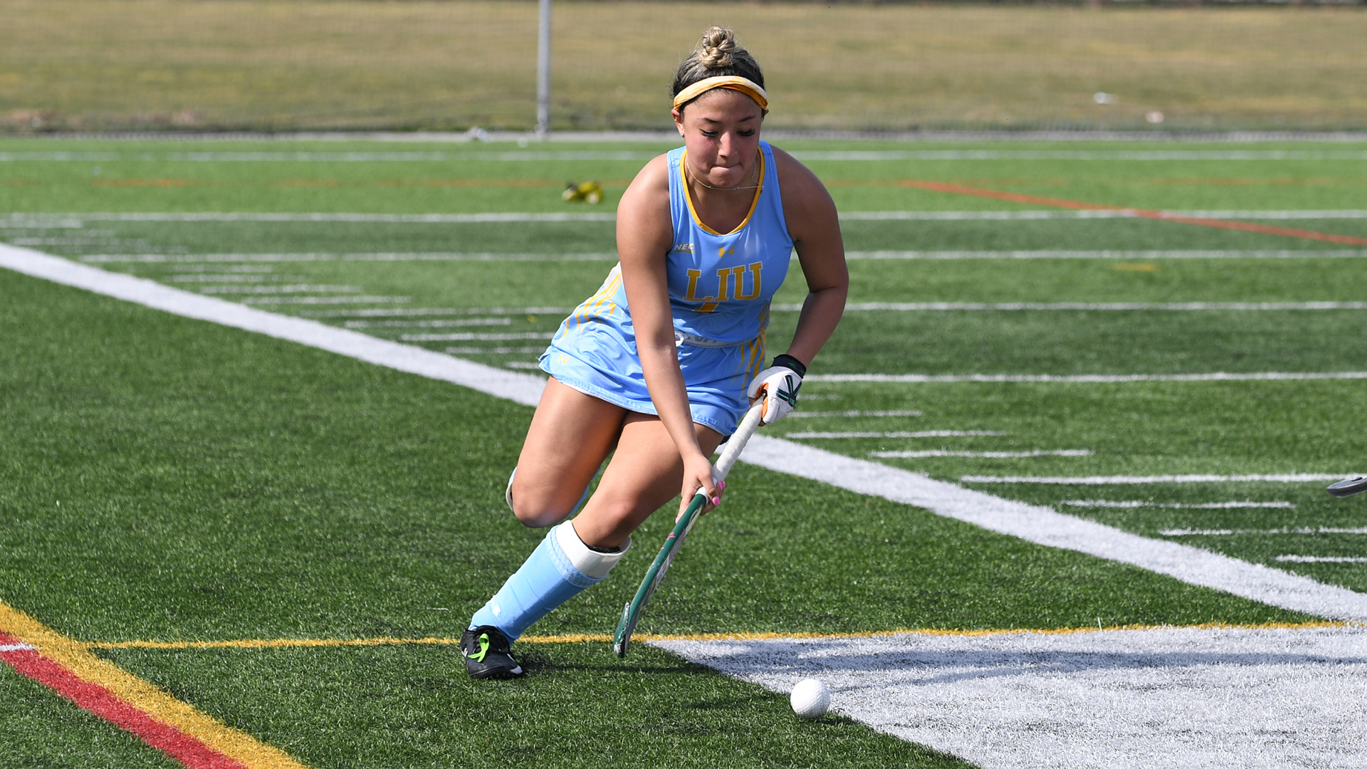 Long Island University