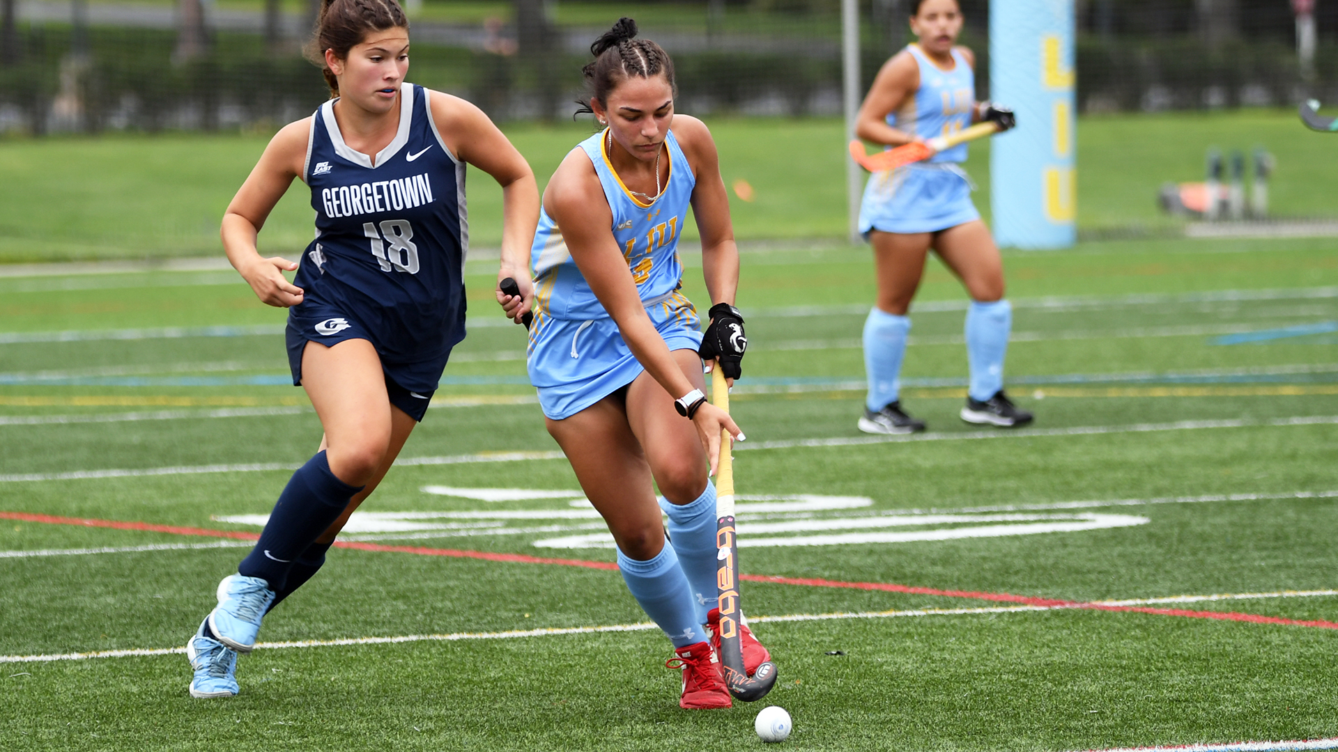 Long Island University Athletics