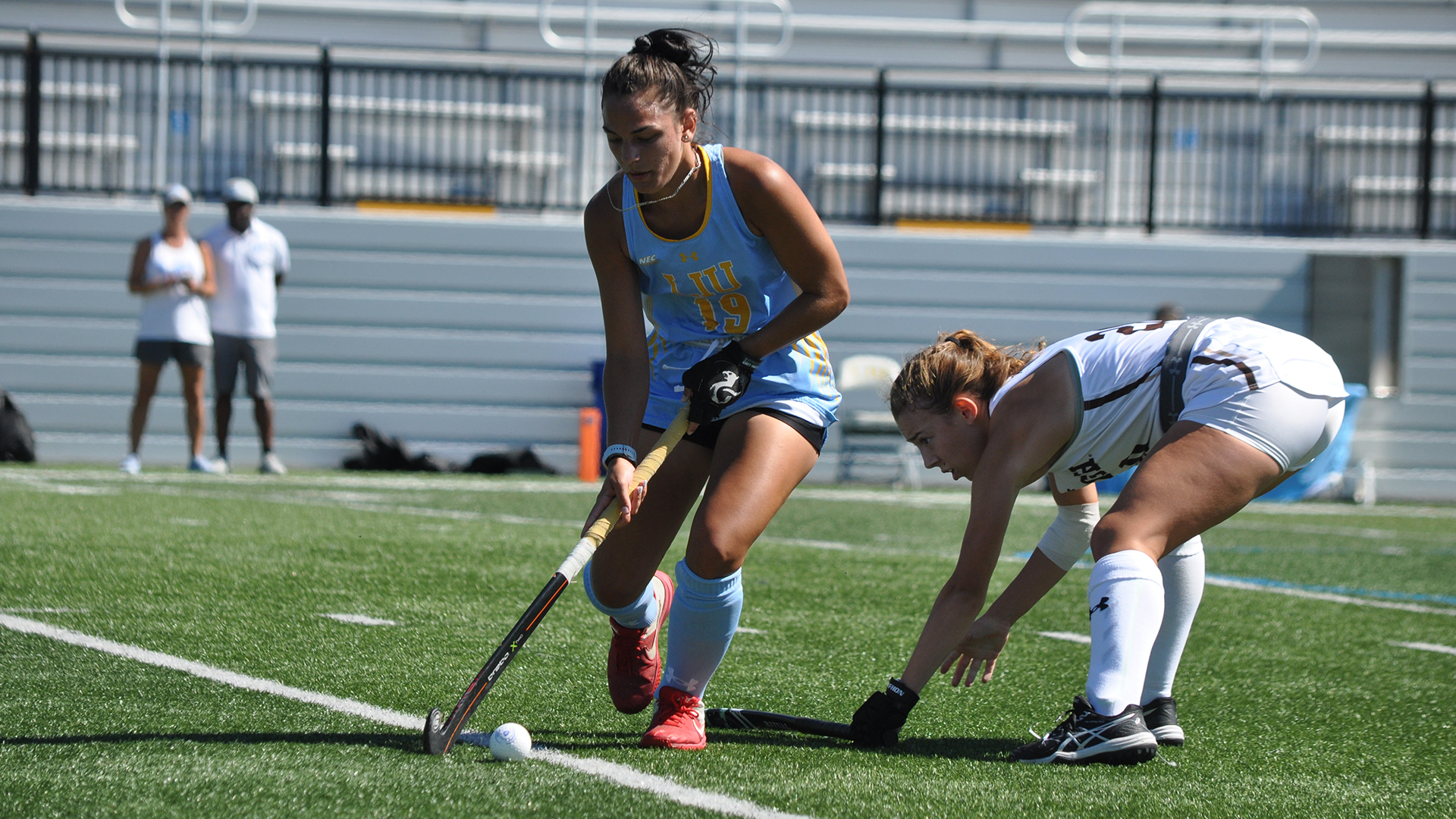 Long Island University Athletics