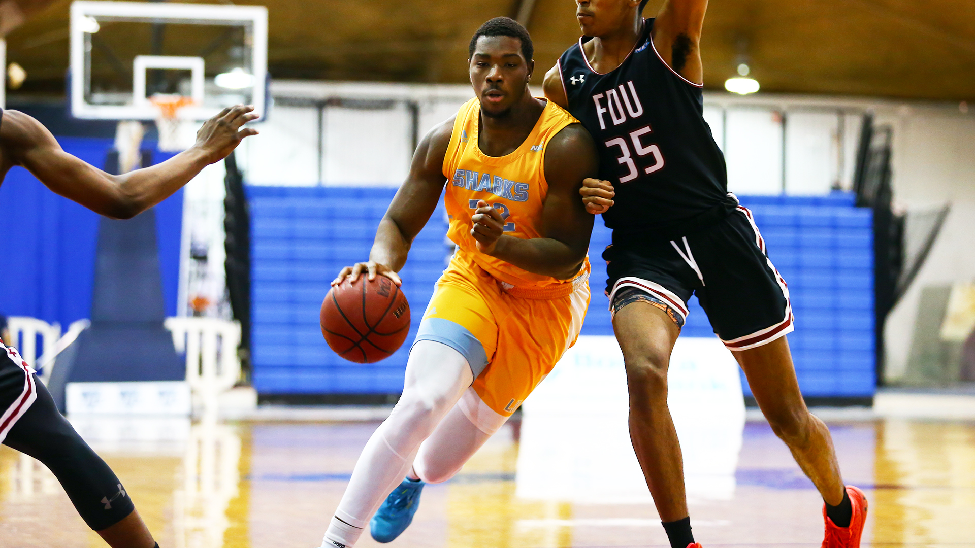 Long Island University Athletics