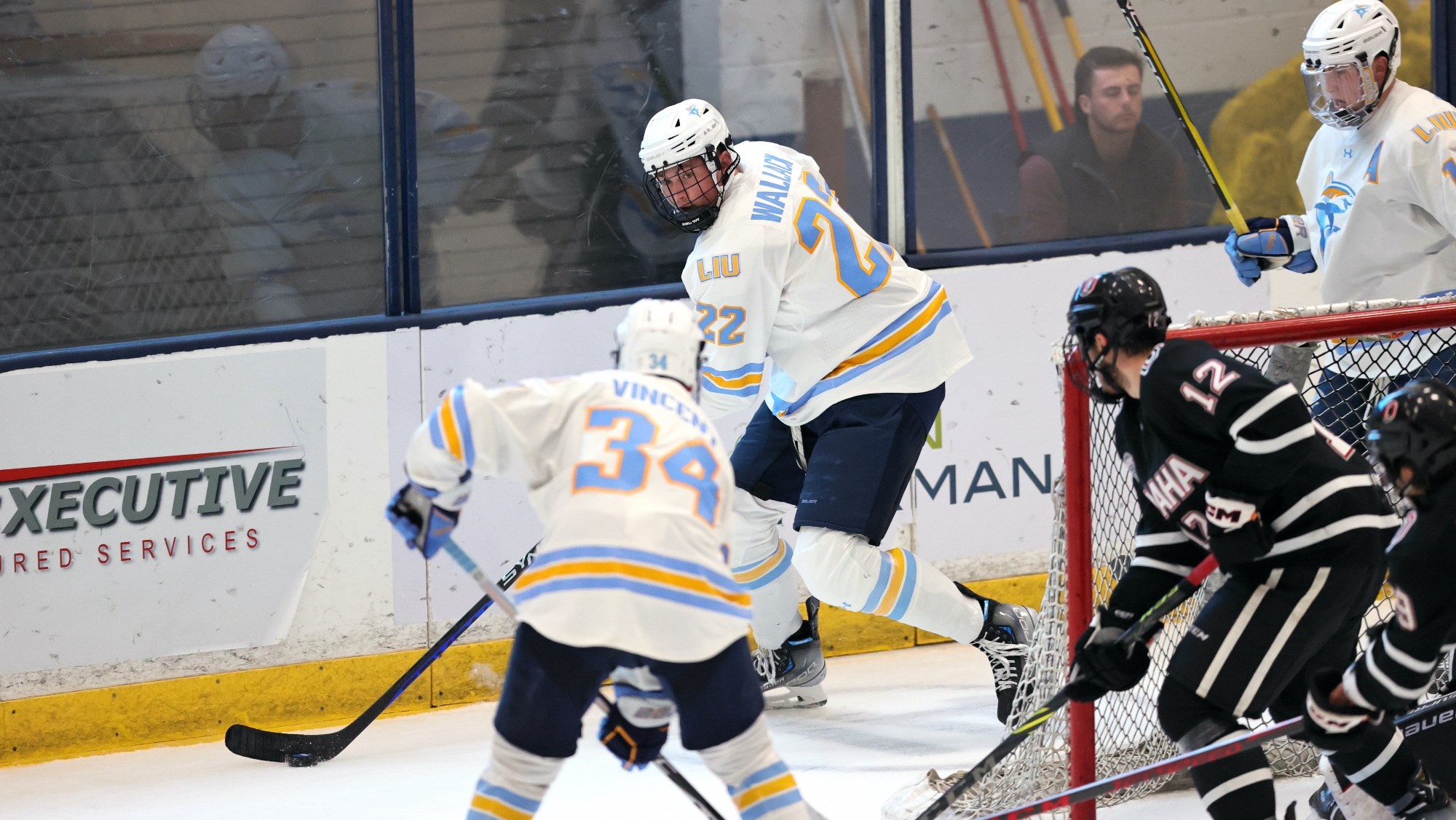 Long Island University Athletics