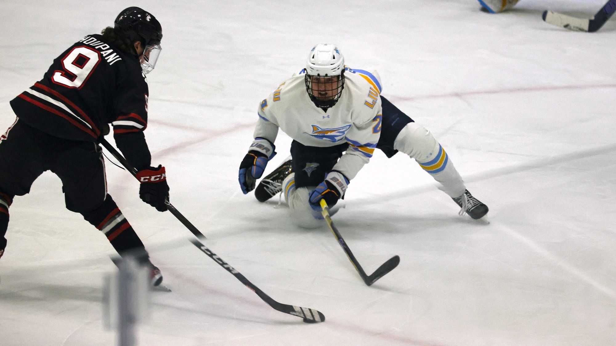 Long Island University Athletics