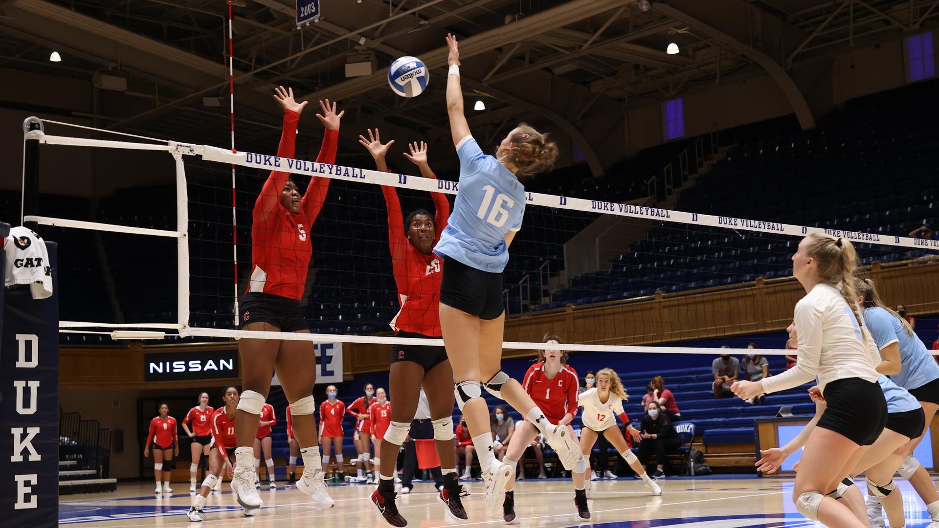 Long Island University Athletics