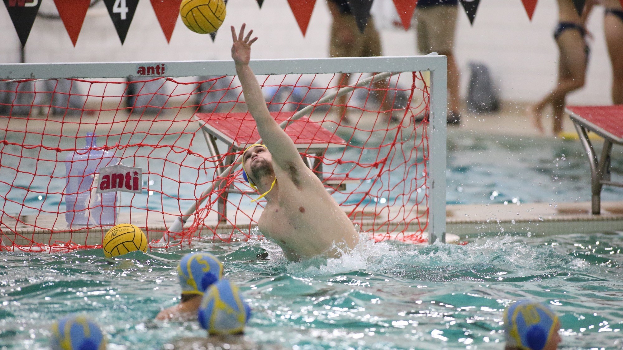 Long Island University Athletics