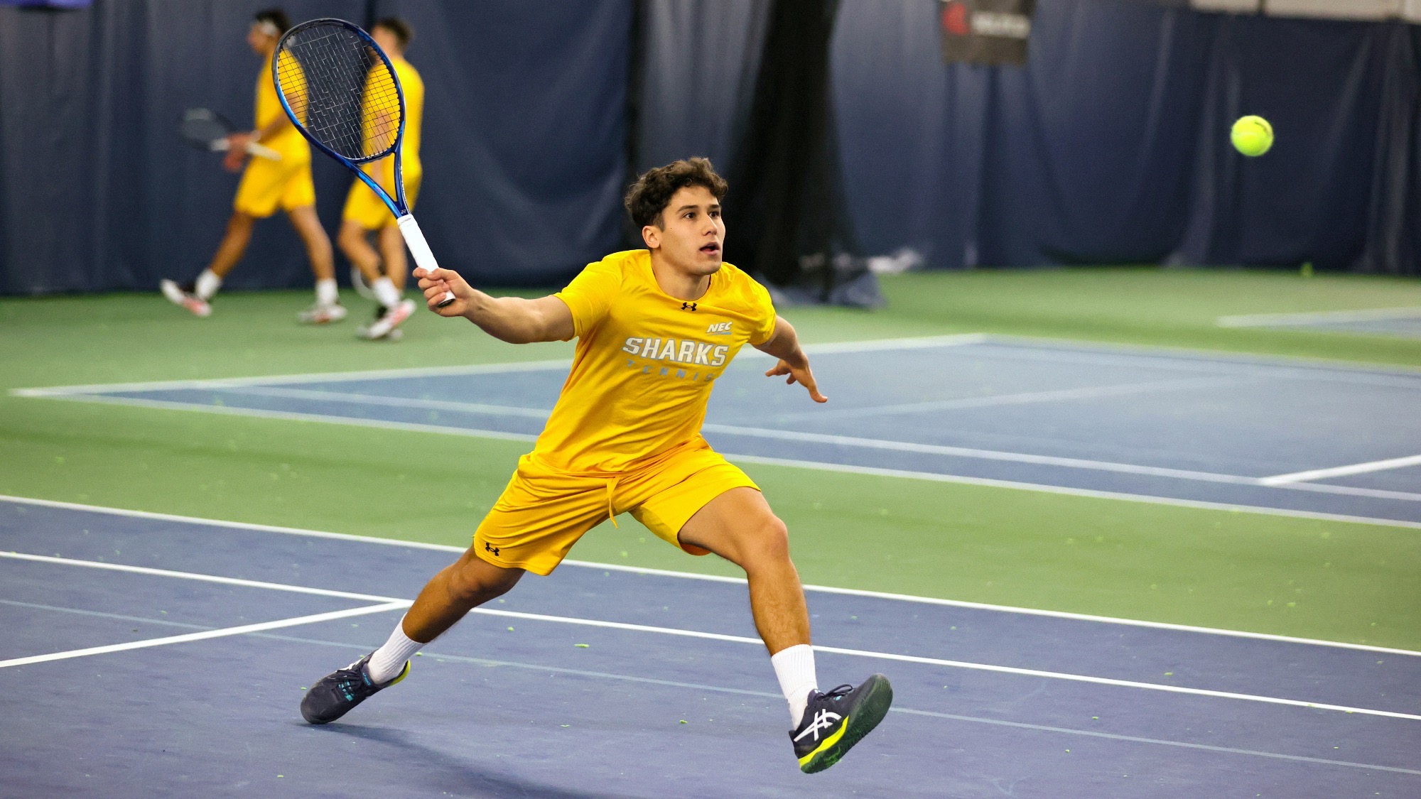 Long Island University Athletics