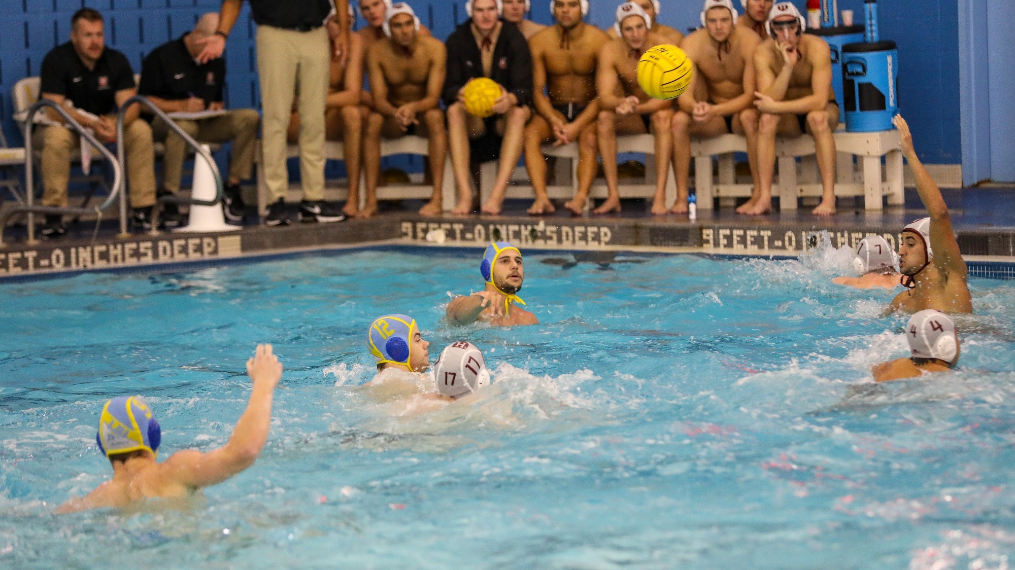 Long Island University Athletics