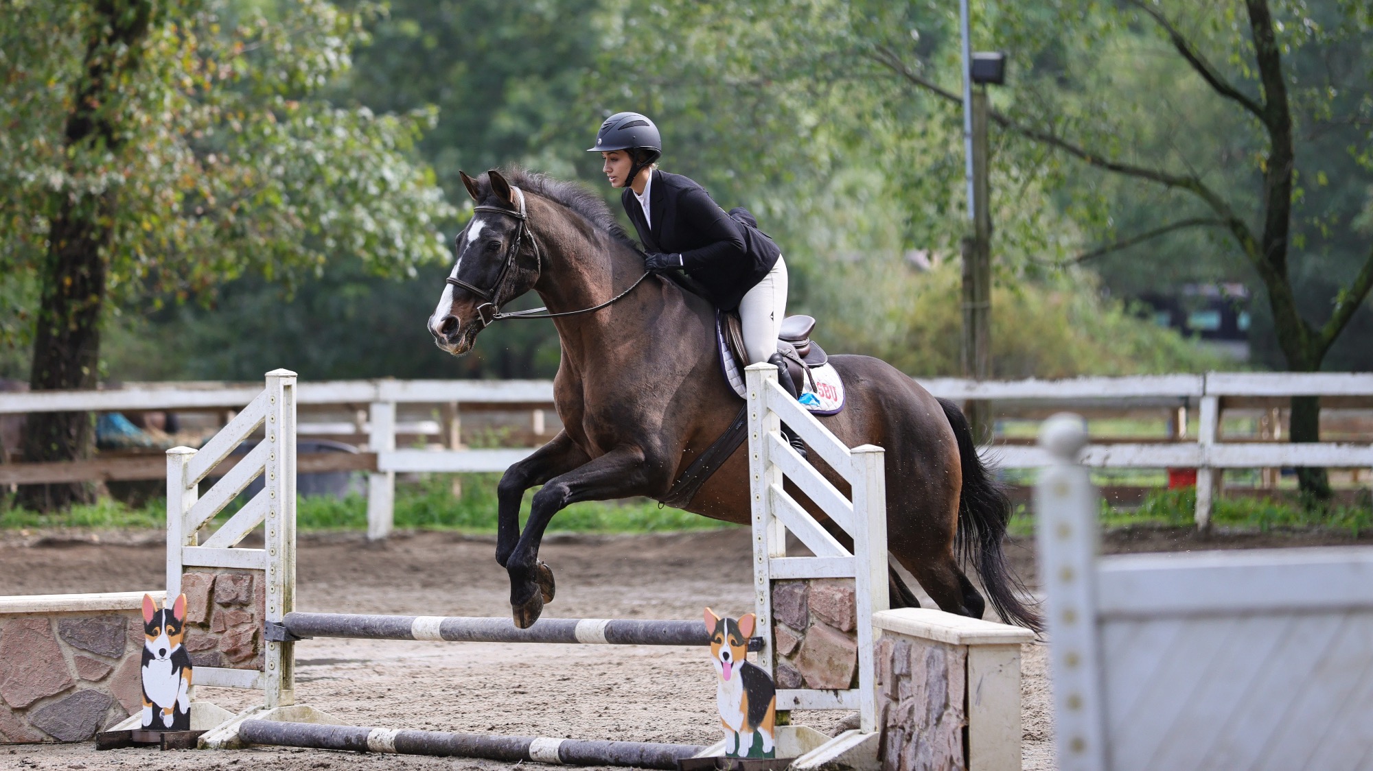 Long Island University Athletics