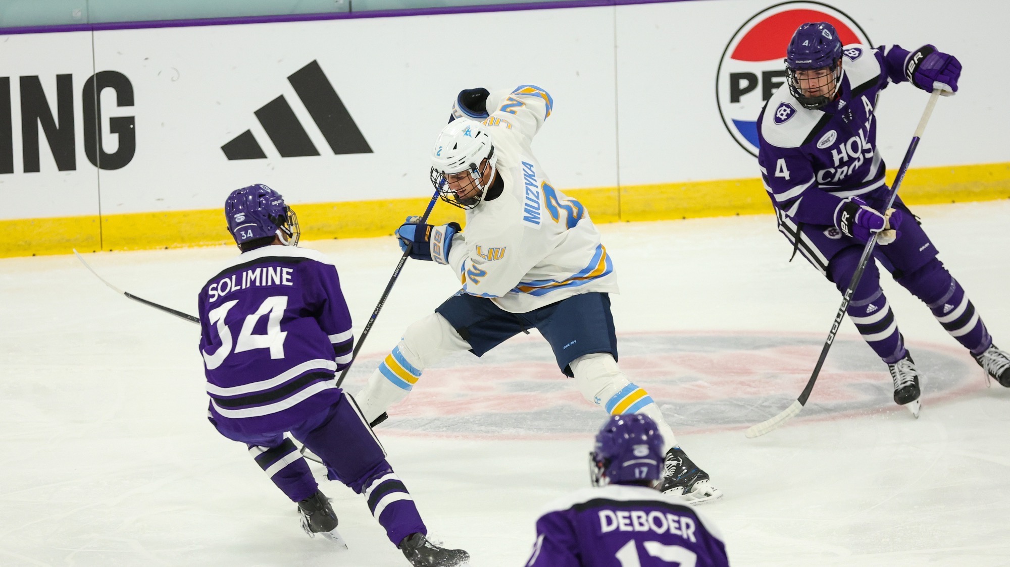 Long Island University Athletics