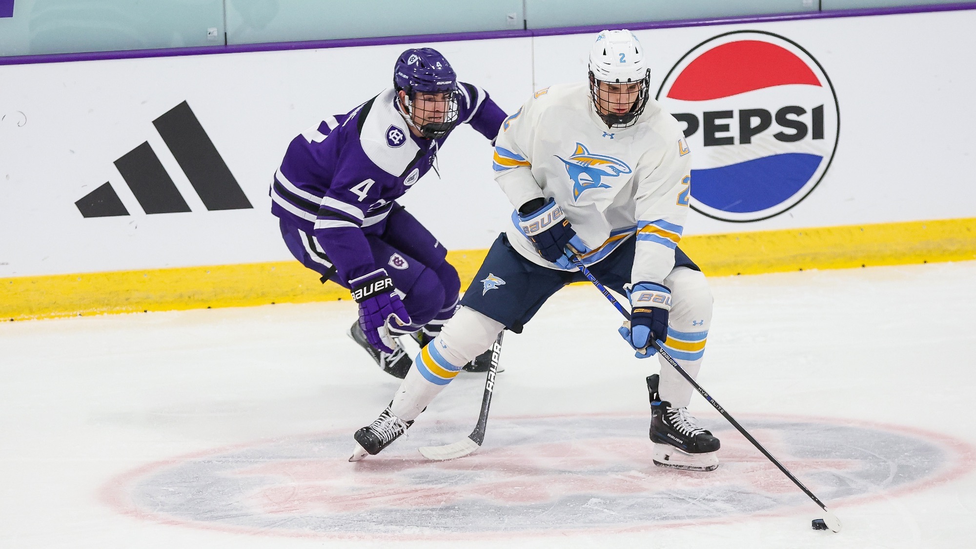 Long Island University Athletics