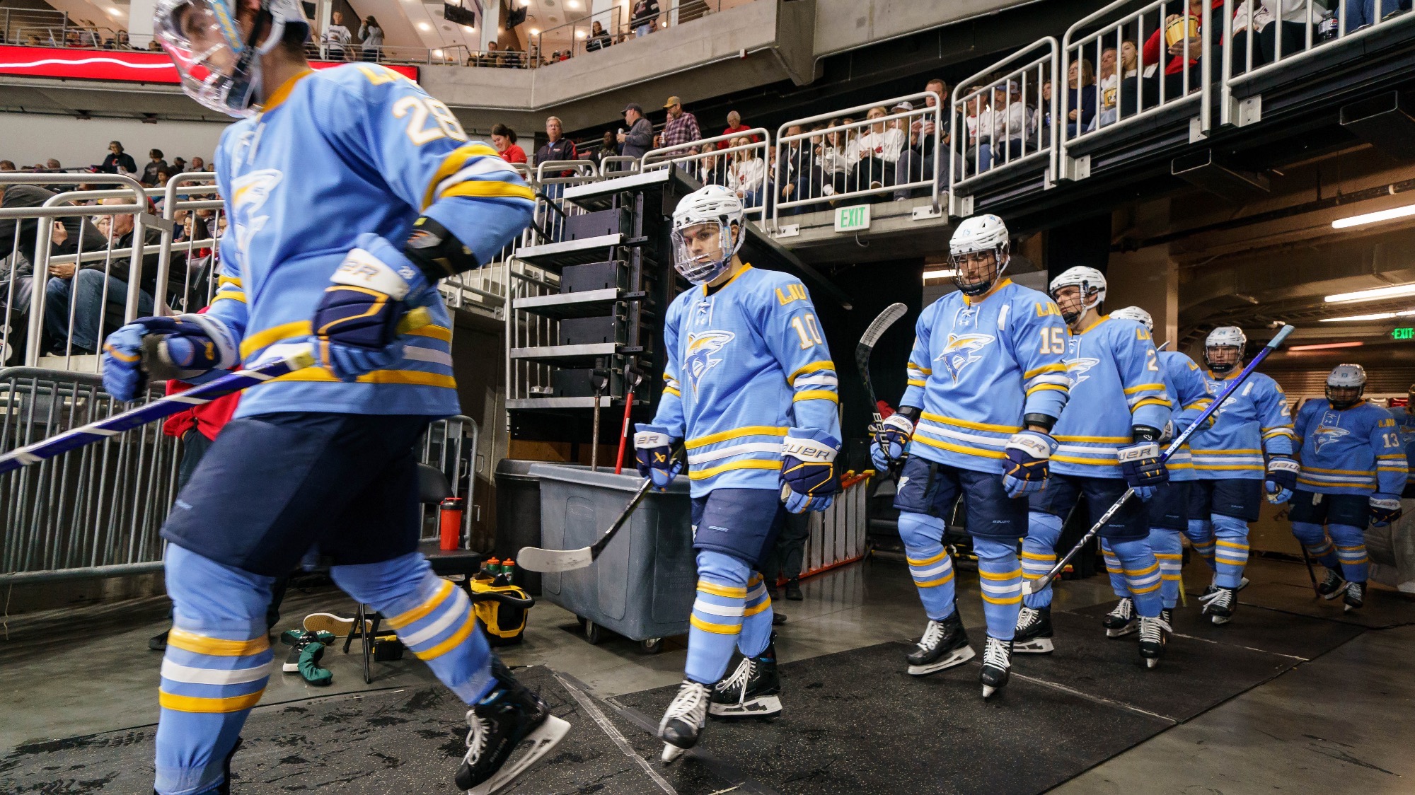 Long Island University Athletics