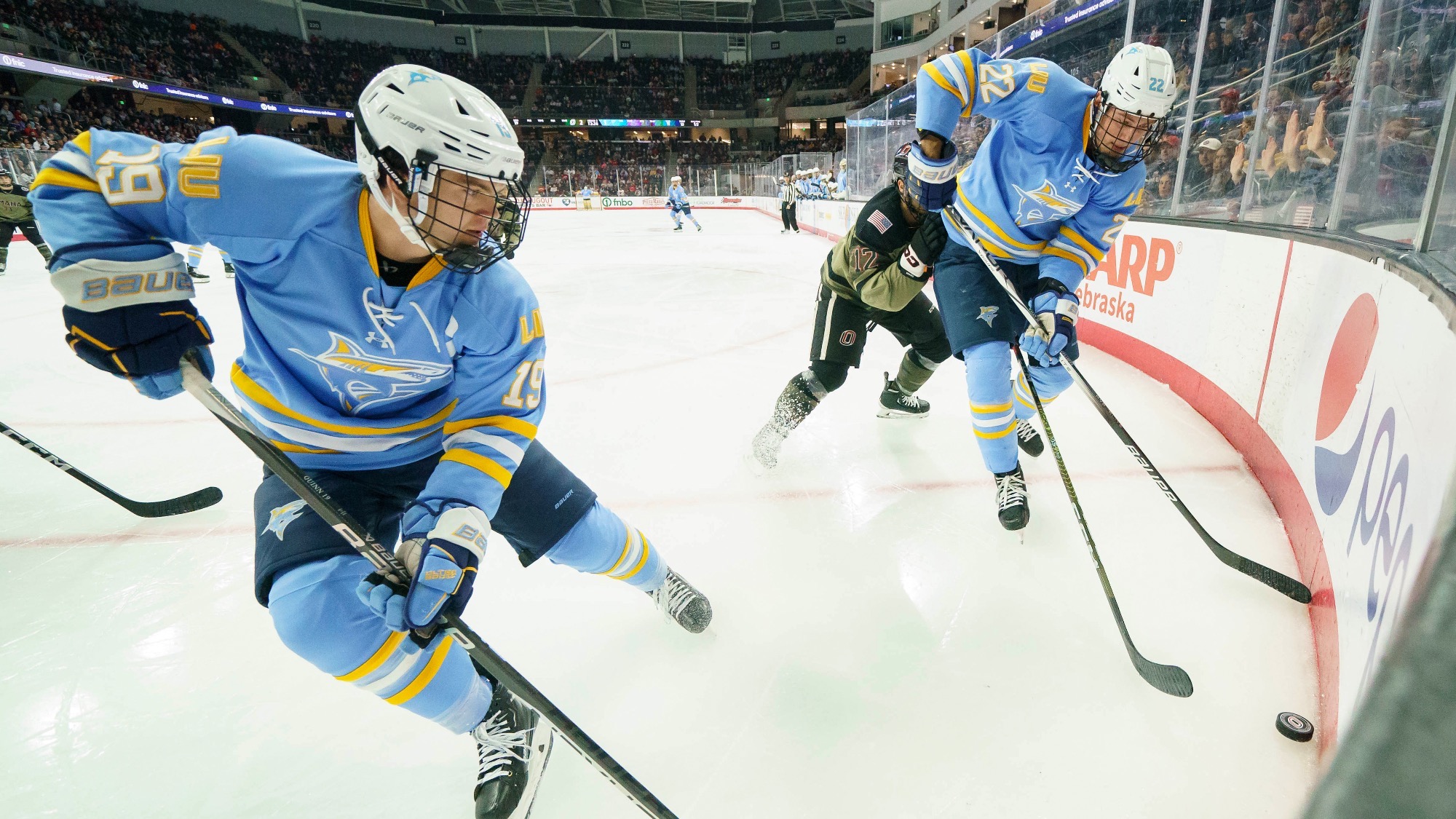 Long Island University Athletics