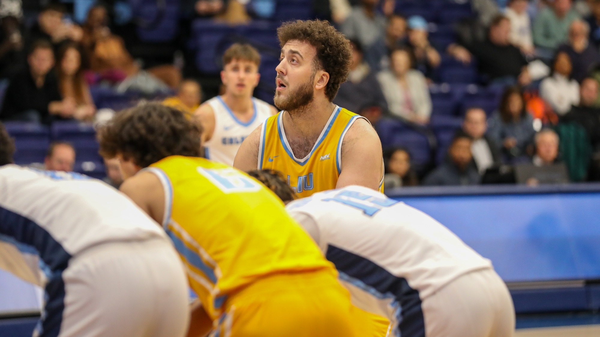 long-island-university-athletics
