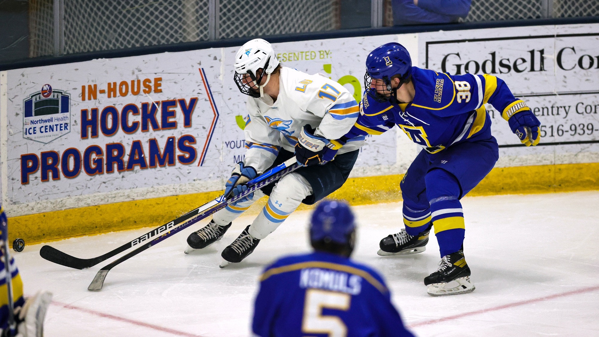 Long Island University Athletics