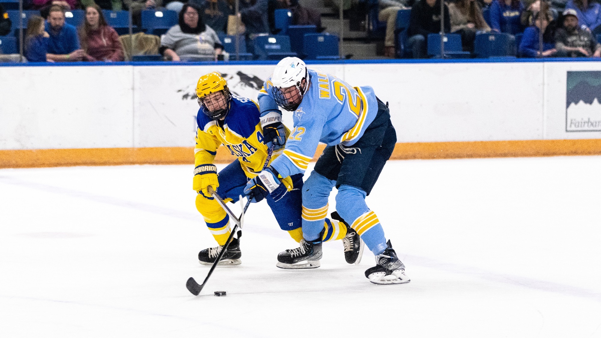 Long Island University Athletics