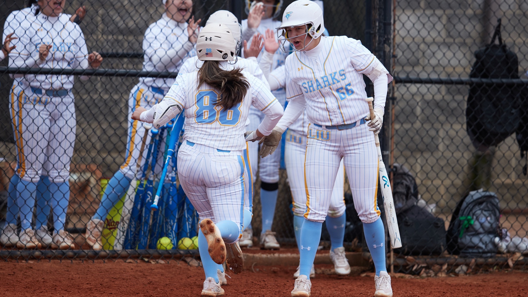 Long Island University Athletics