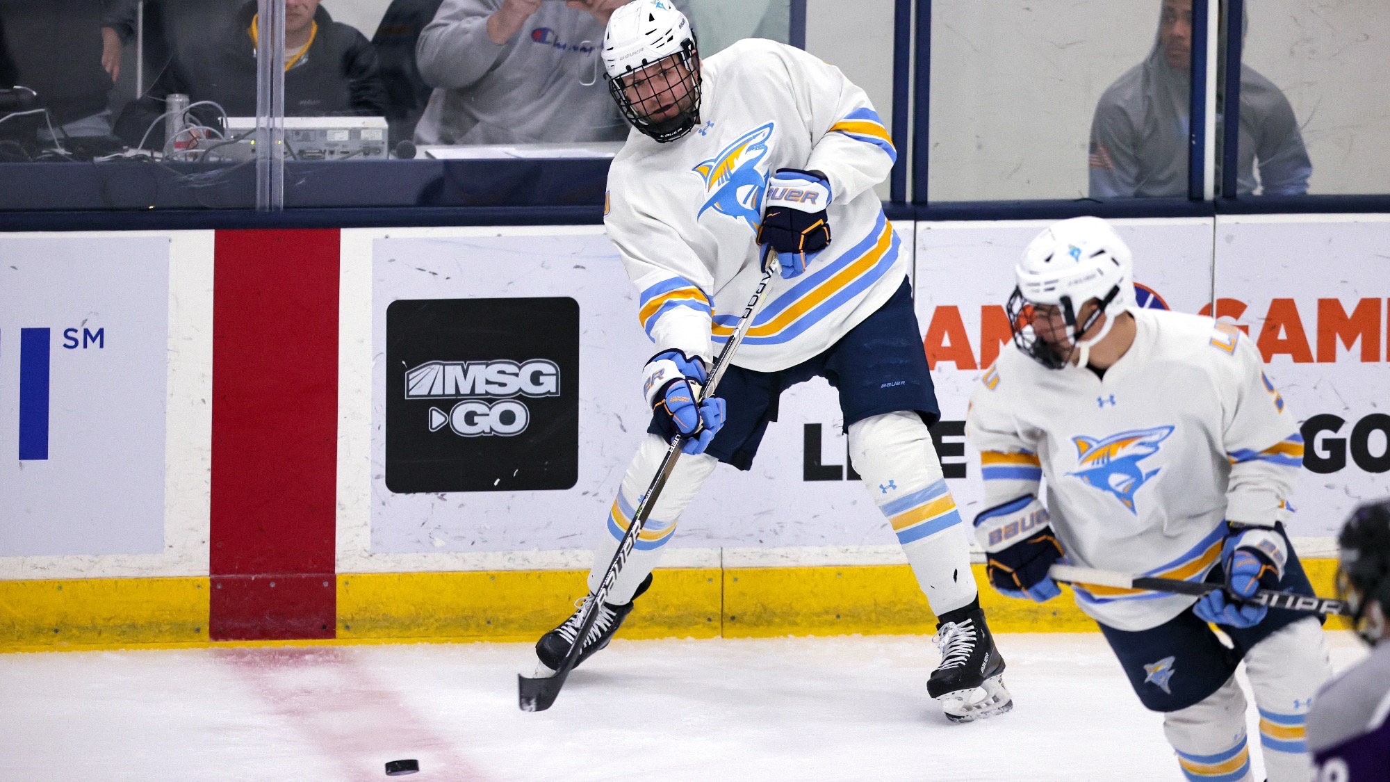 Long Island University Athletics