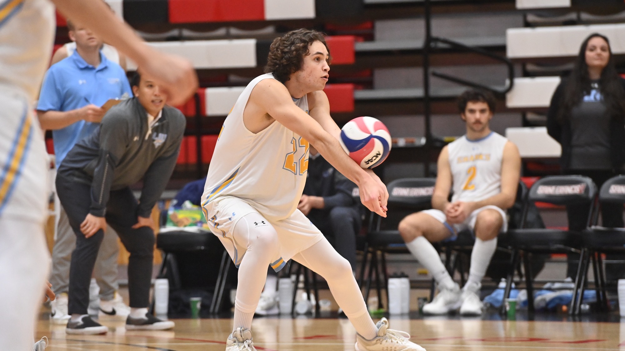 Long Island University Athletics