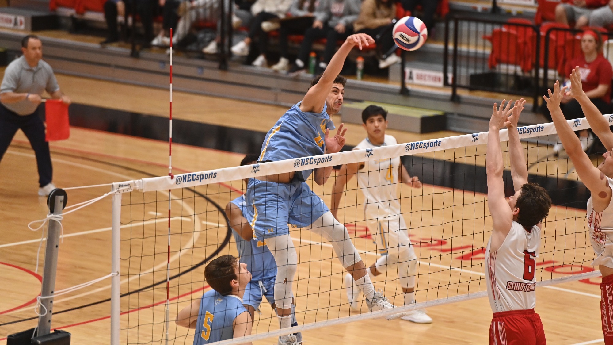 Long Island University Athletics