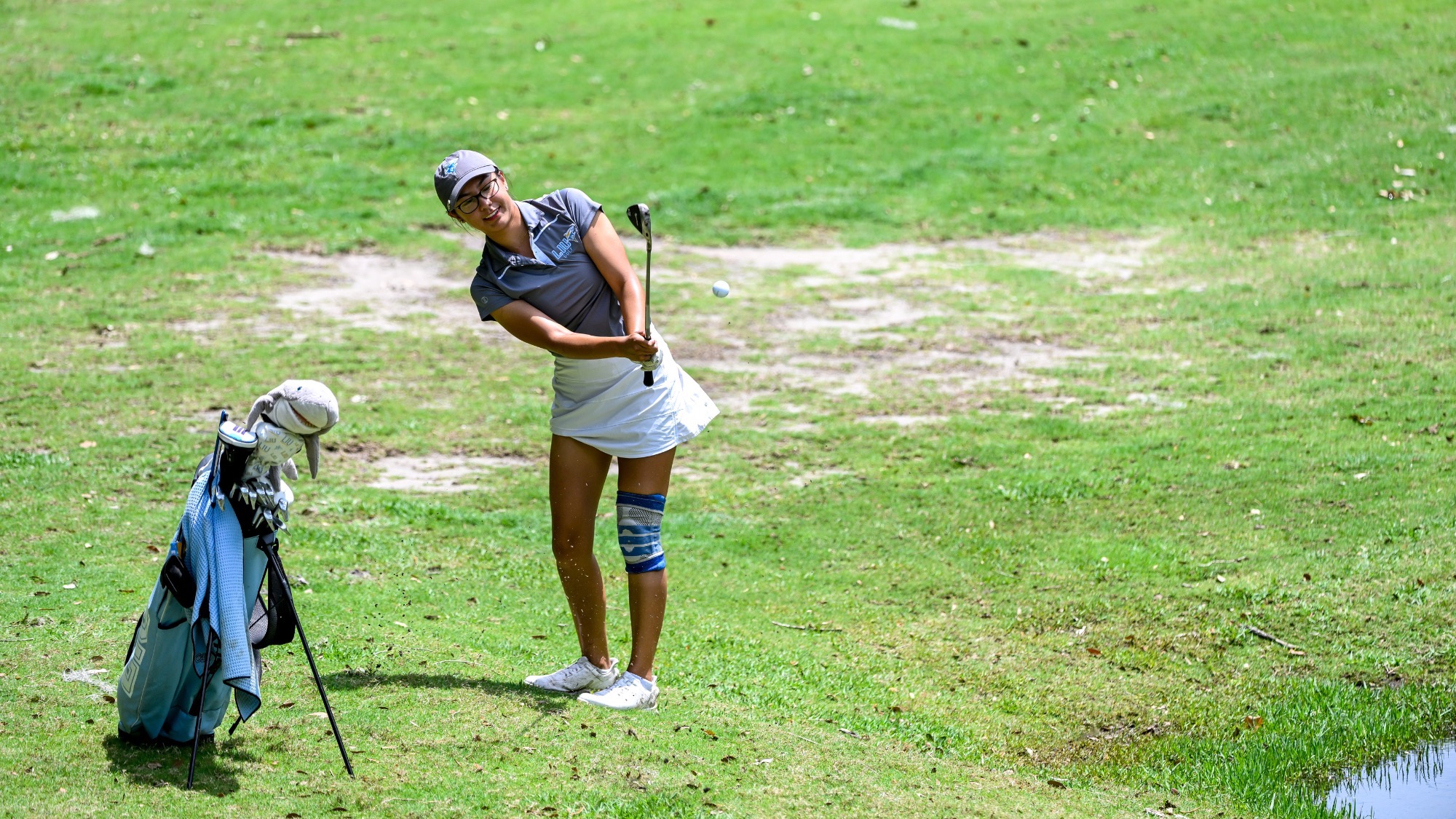 Long Island University Athletics