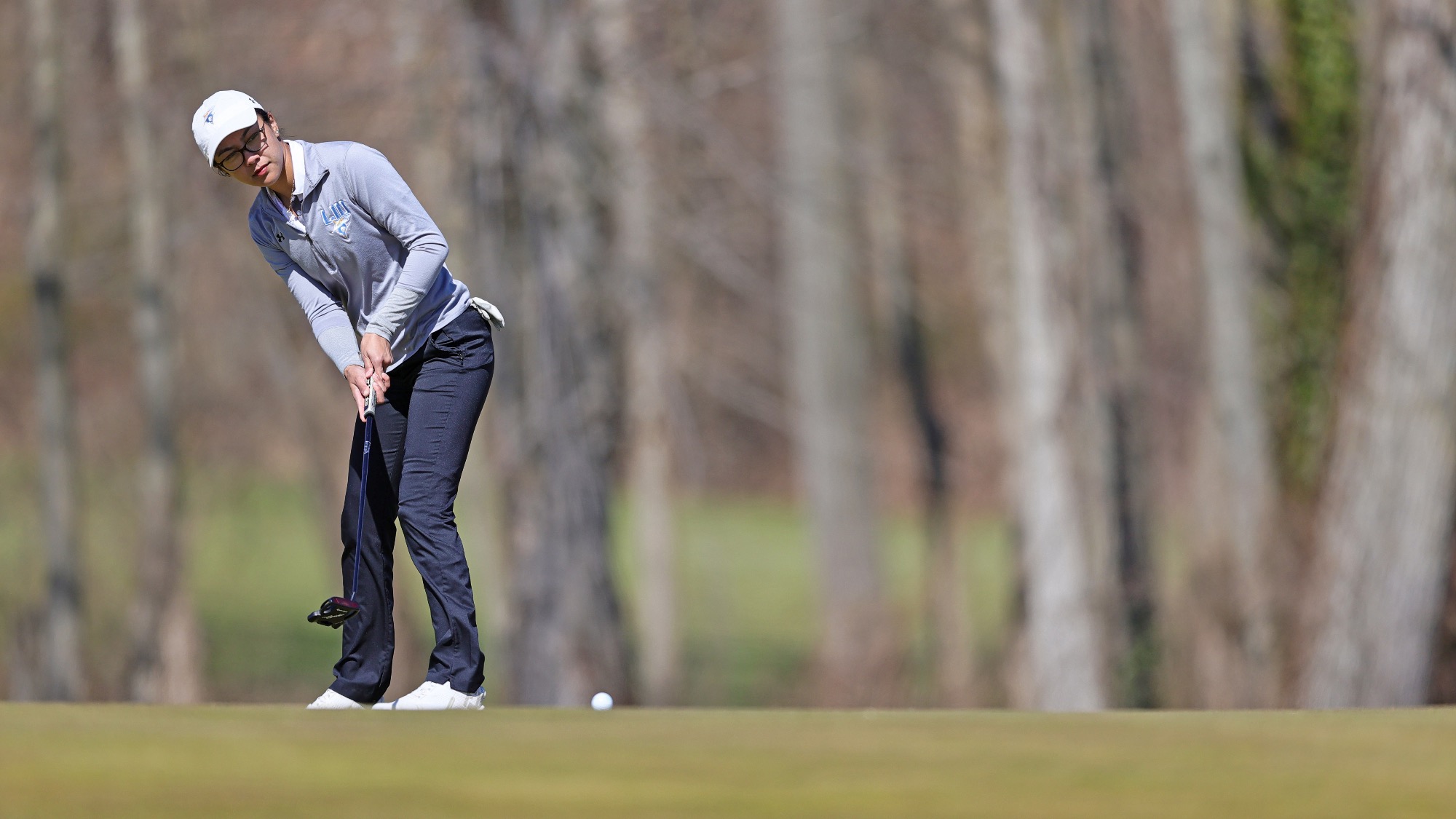 Long Island University Athletics