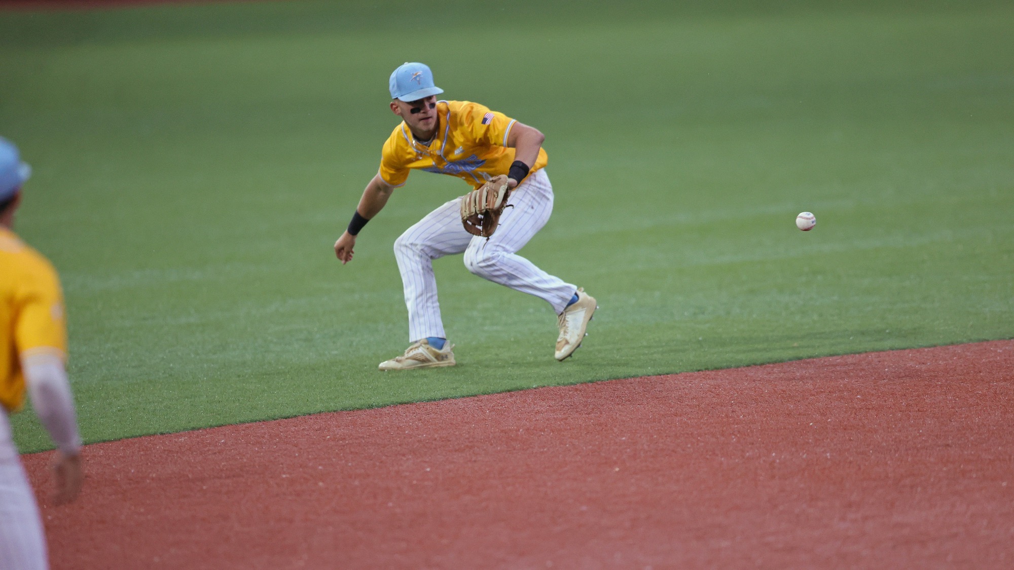 Long Island University Athletics