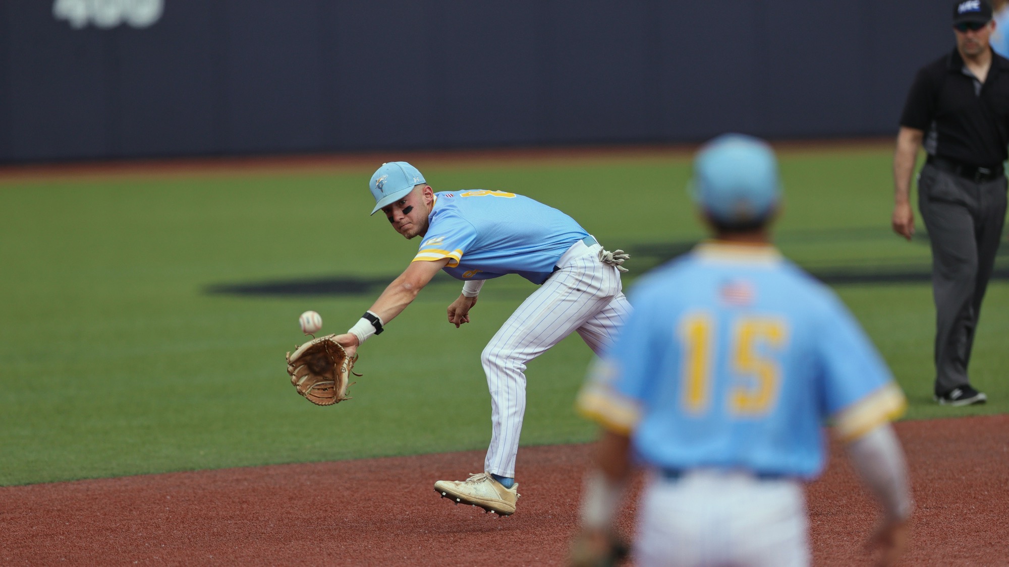 Long Island University Athletics