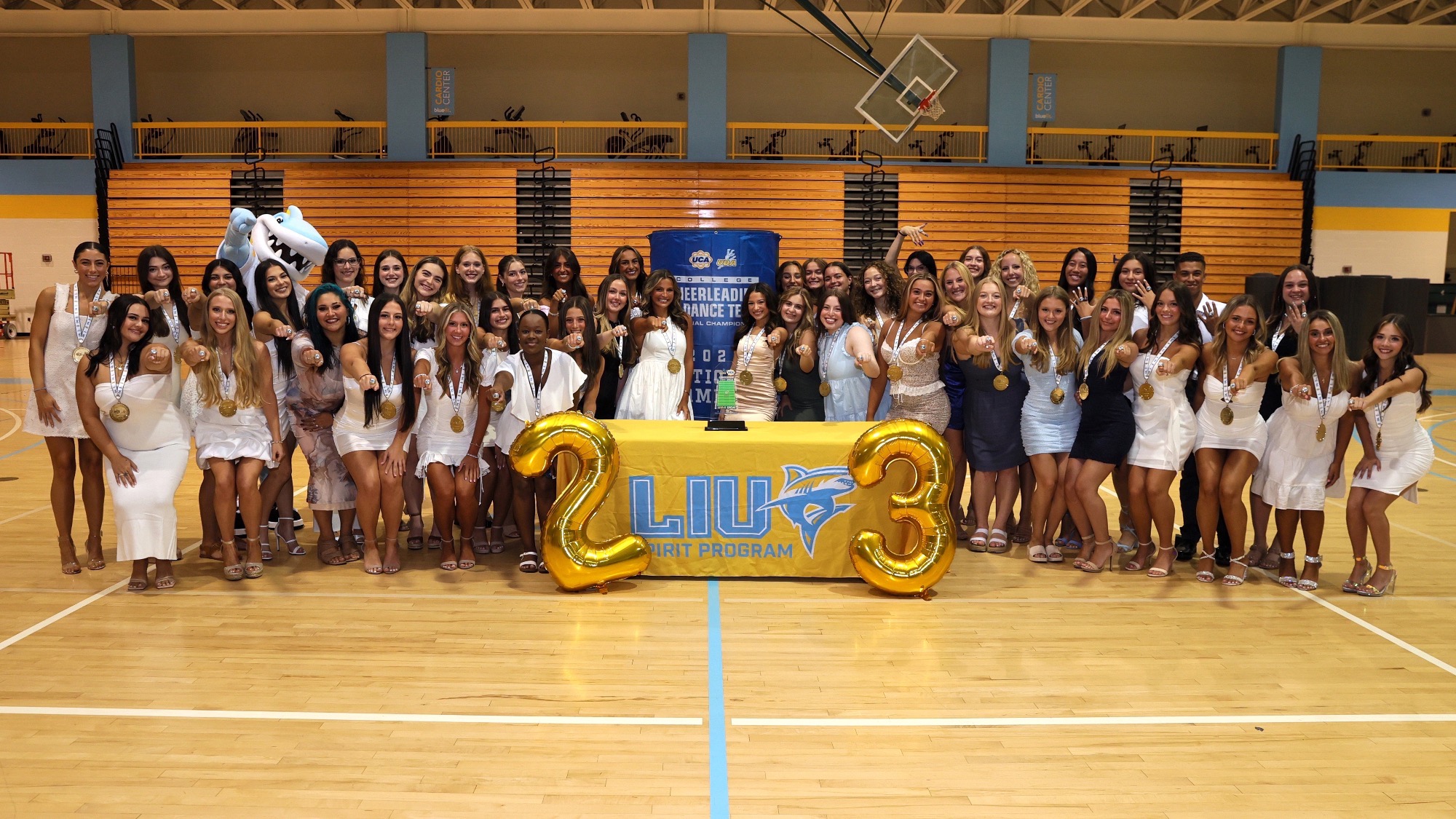 Cheer and Dance Post With Rings