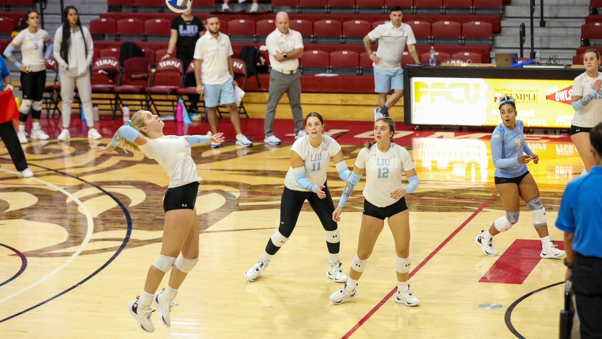 Long Island University Athletics