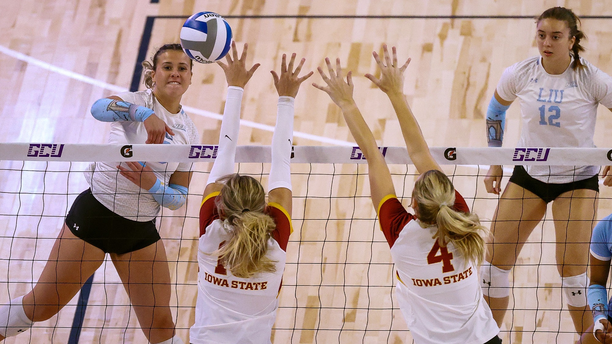 Long Island University Athletics